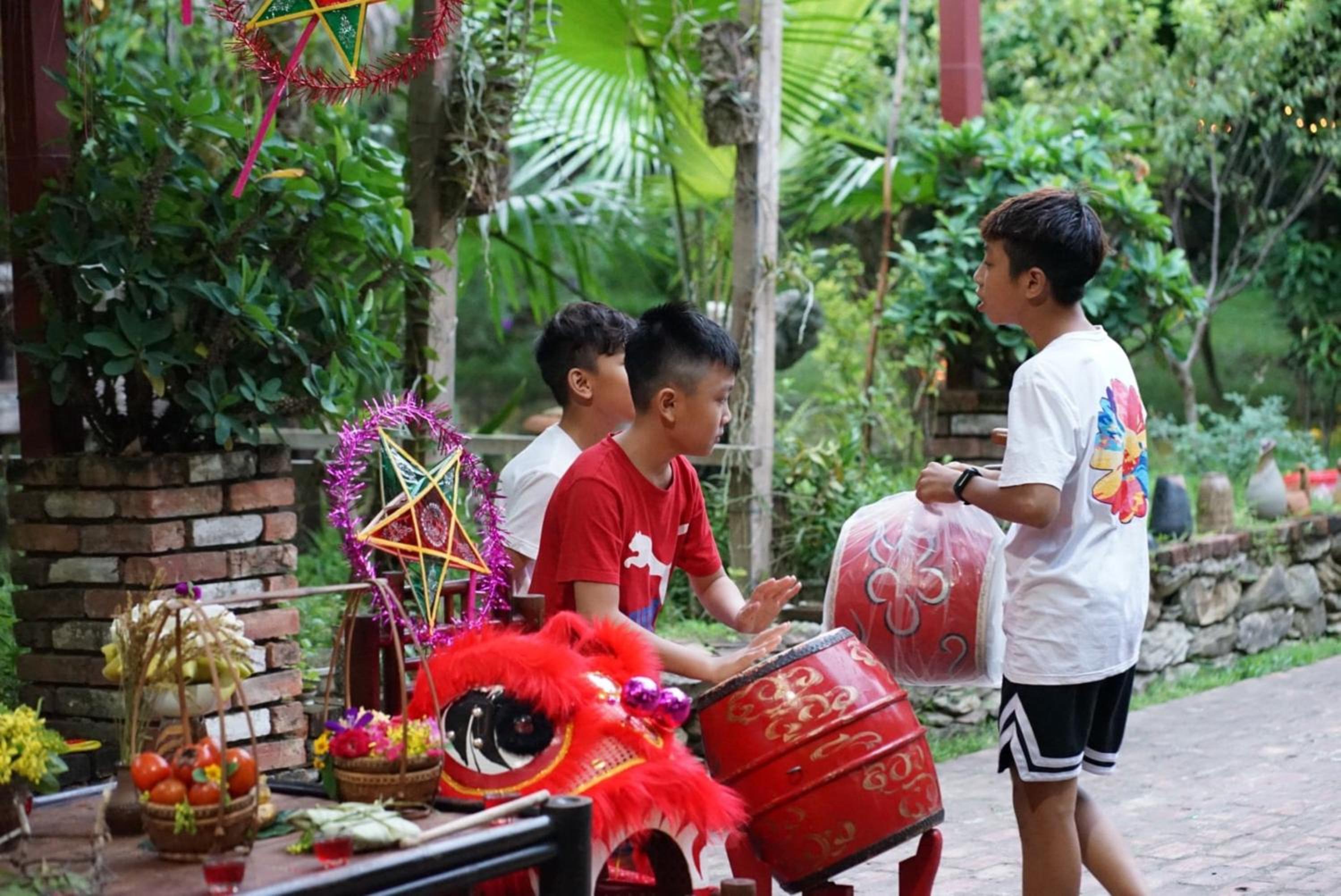 Hoa Mai Viên Sóc Sơn - Venue Travel