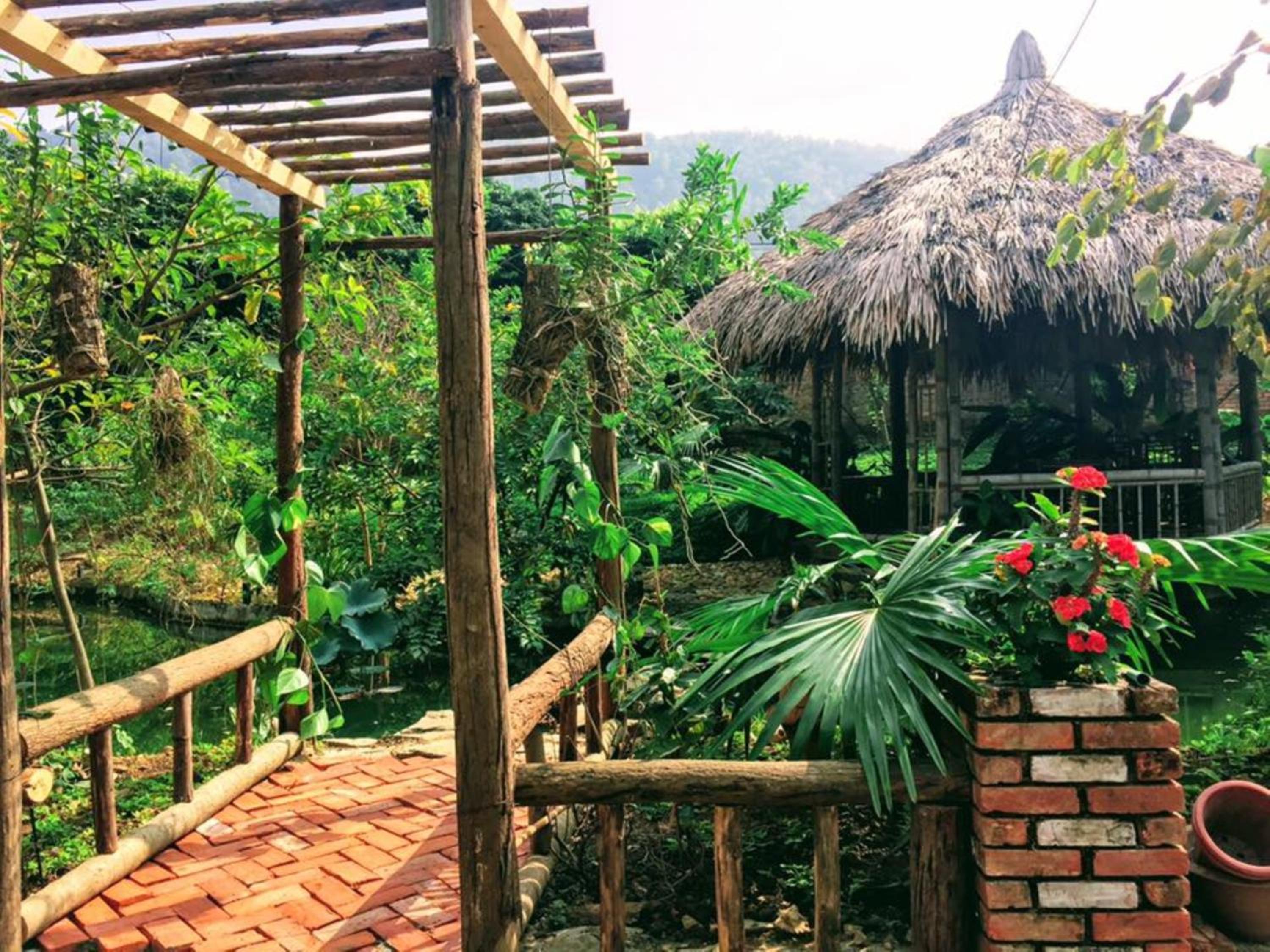 Hoa Mai Viên Sóc Sơn - Venue Travel