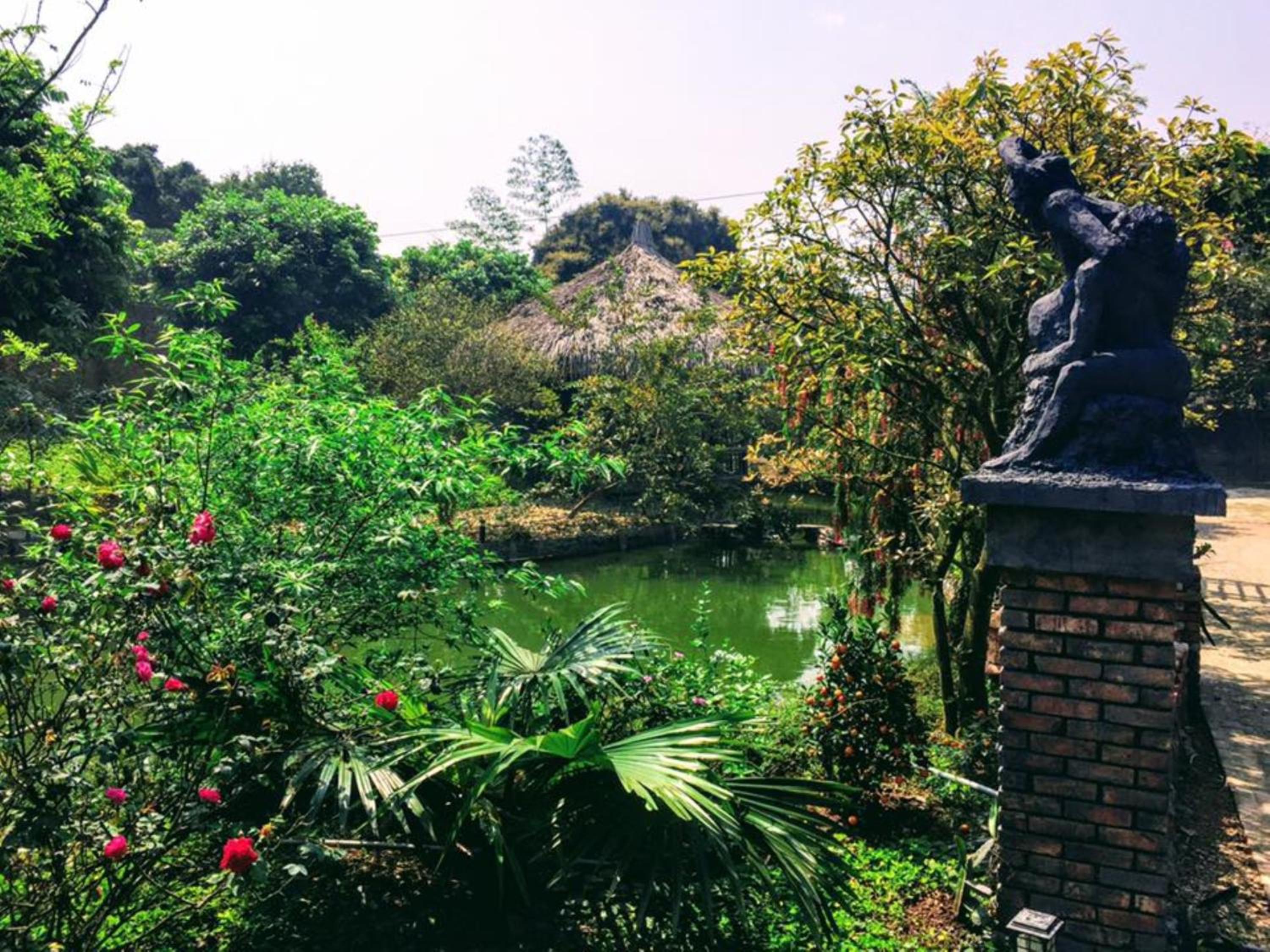 Hoa Mai Viên Sóc Sơn - Venue Travel