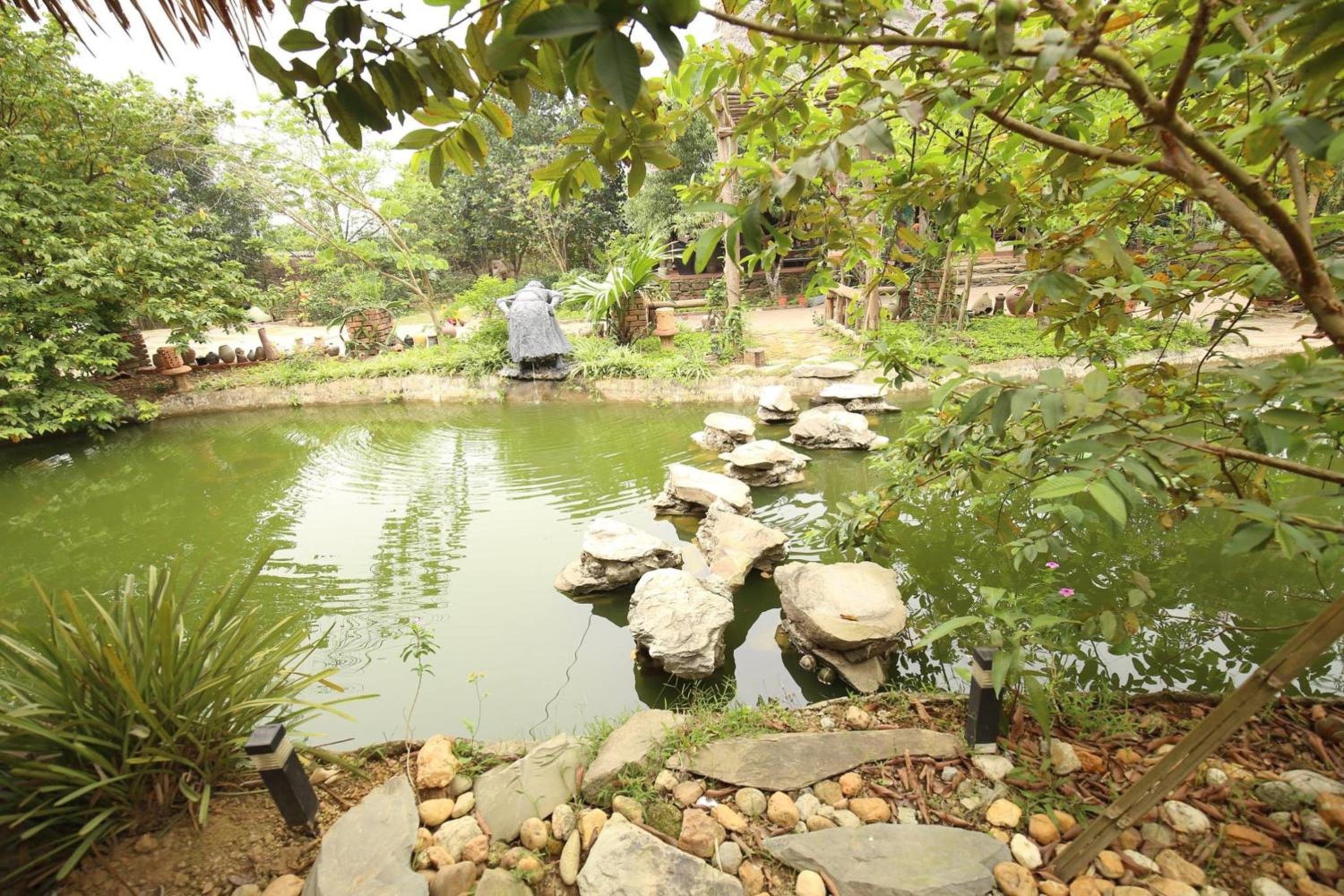Hoa Mai Viên Sóc Sơn - Venue Travel