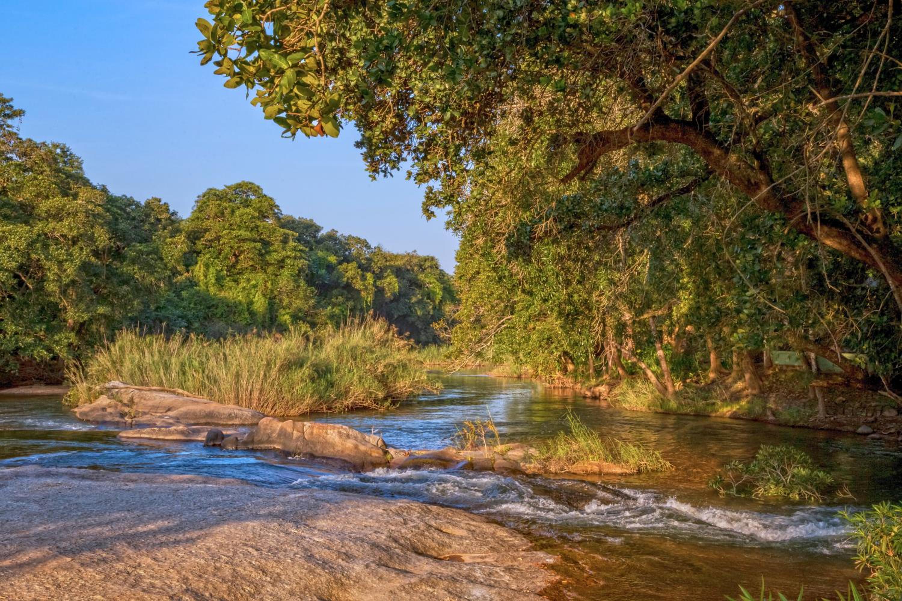 Hazyview Vacations - Aan De Vliet Holiday Resort - Property Image 15