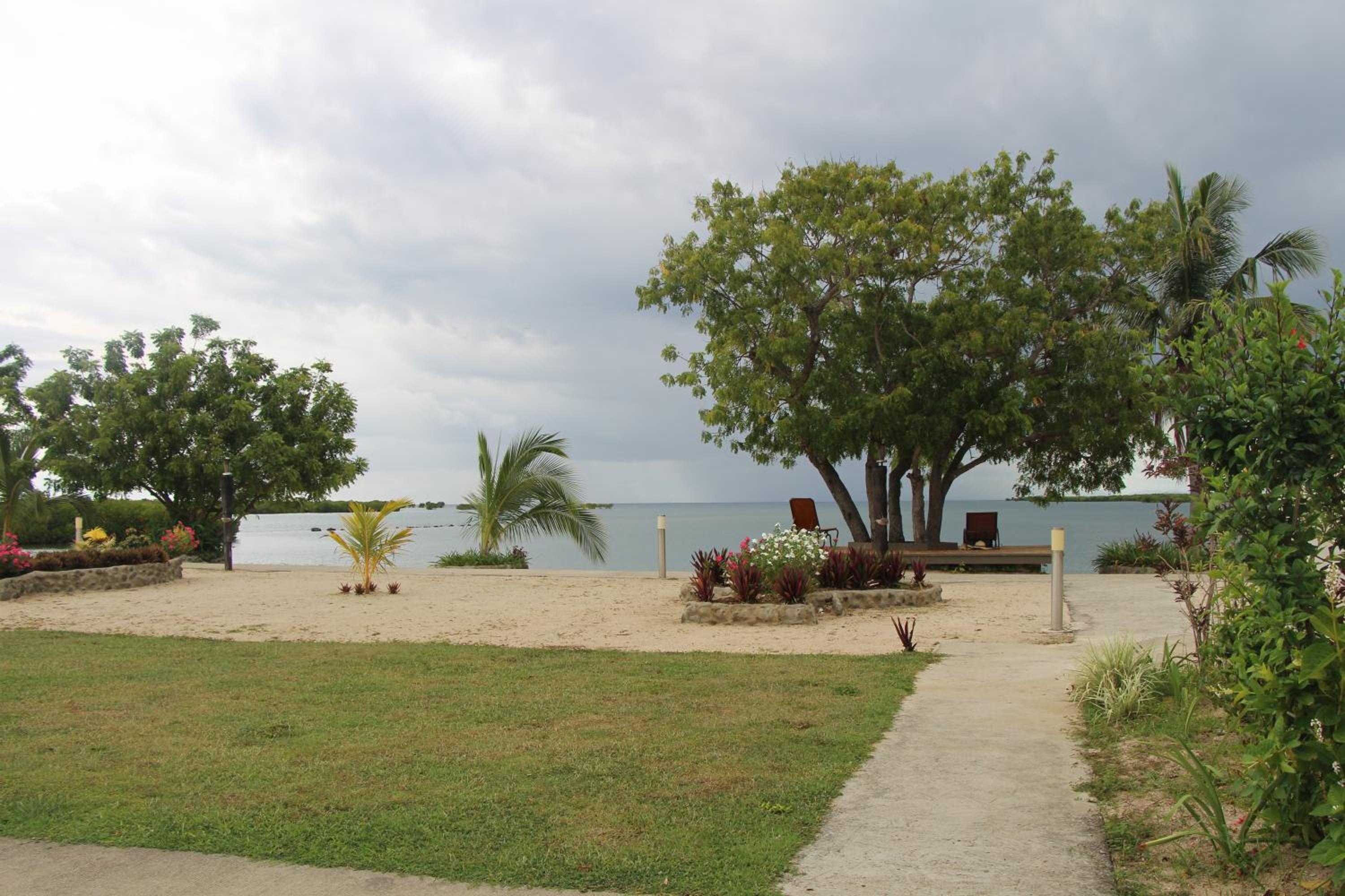 Photo 41