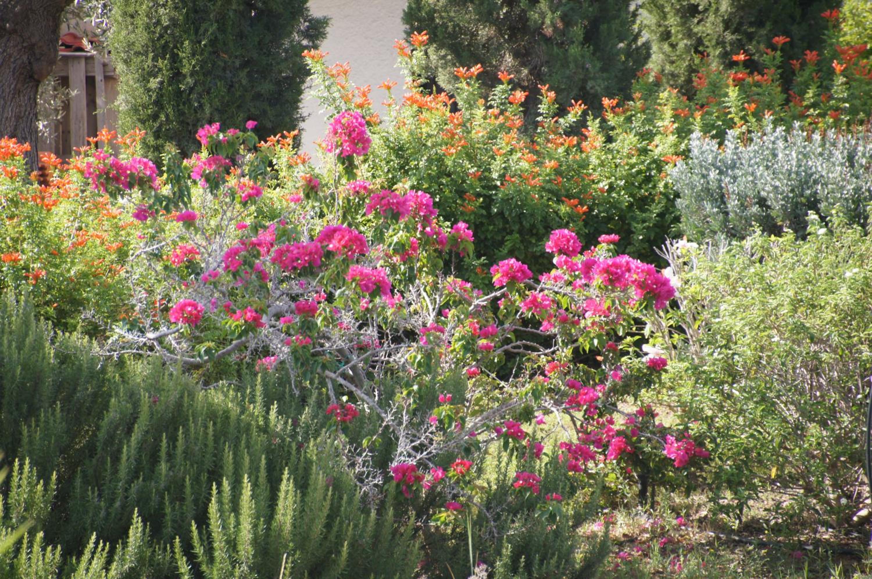 Villa Desiree photo 5
