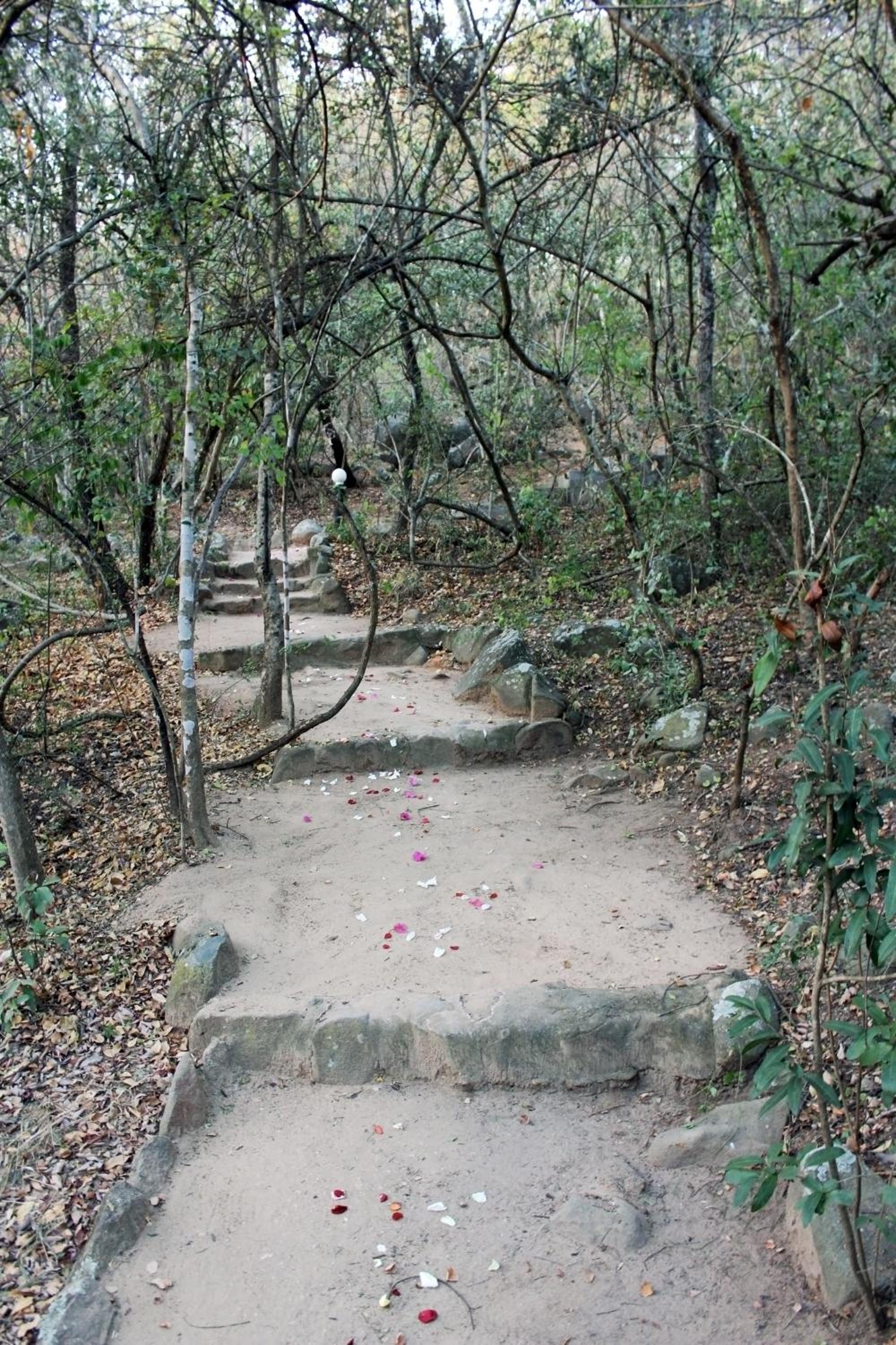 Photo 7