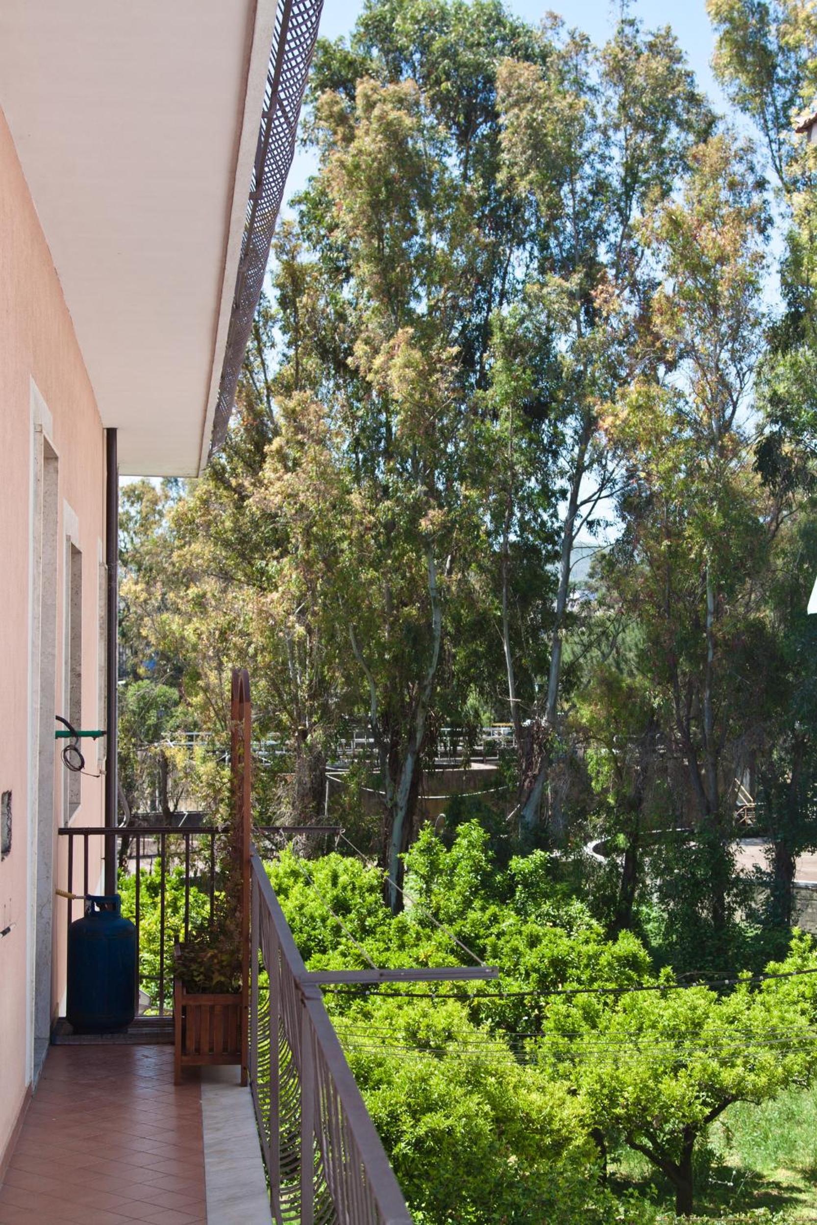 Orange Garden view 2