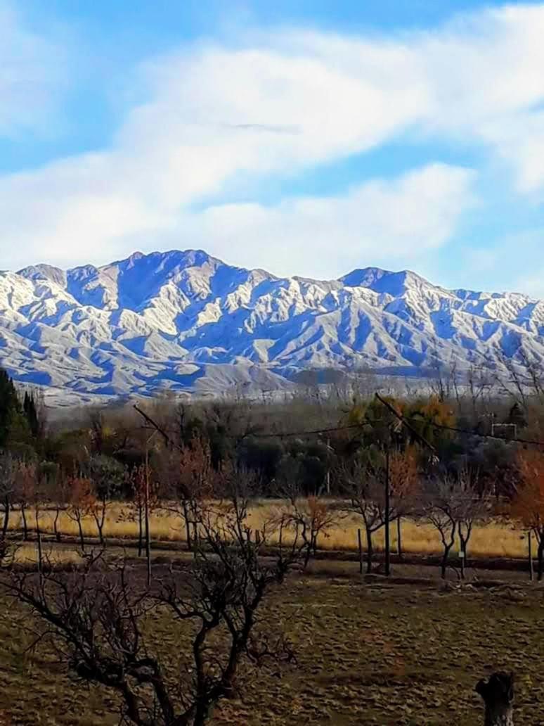 Loft Los Cerezos en VISTALBA, zona de viñedos y bodegas