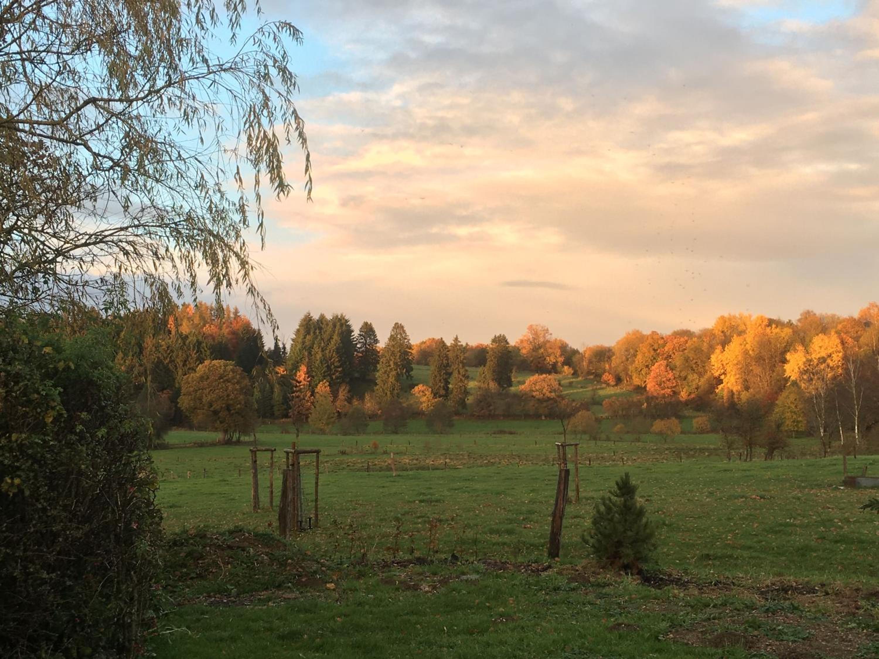 Gîtanneke