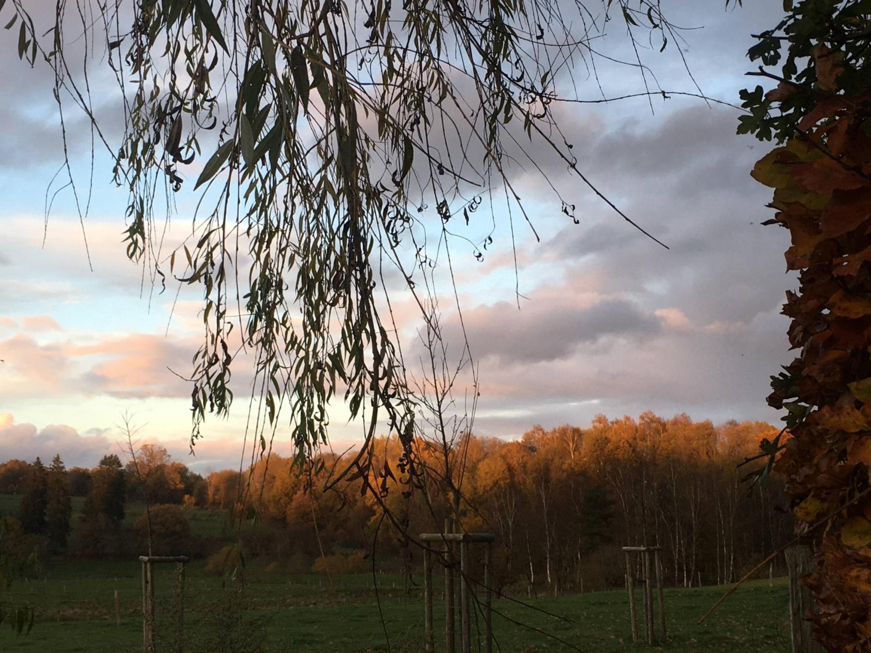Gîtanneke