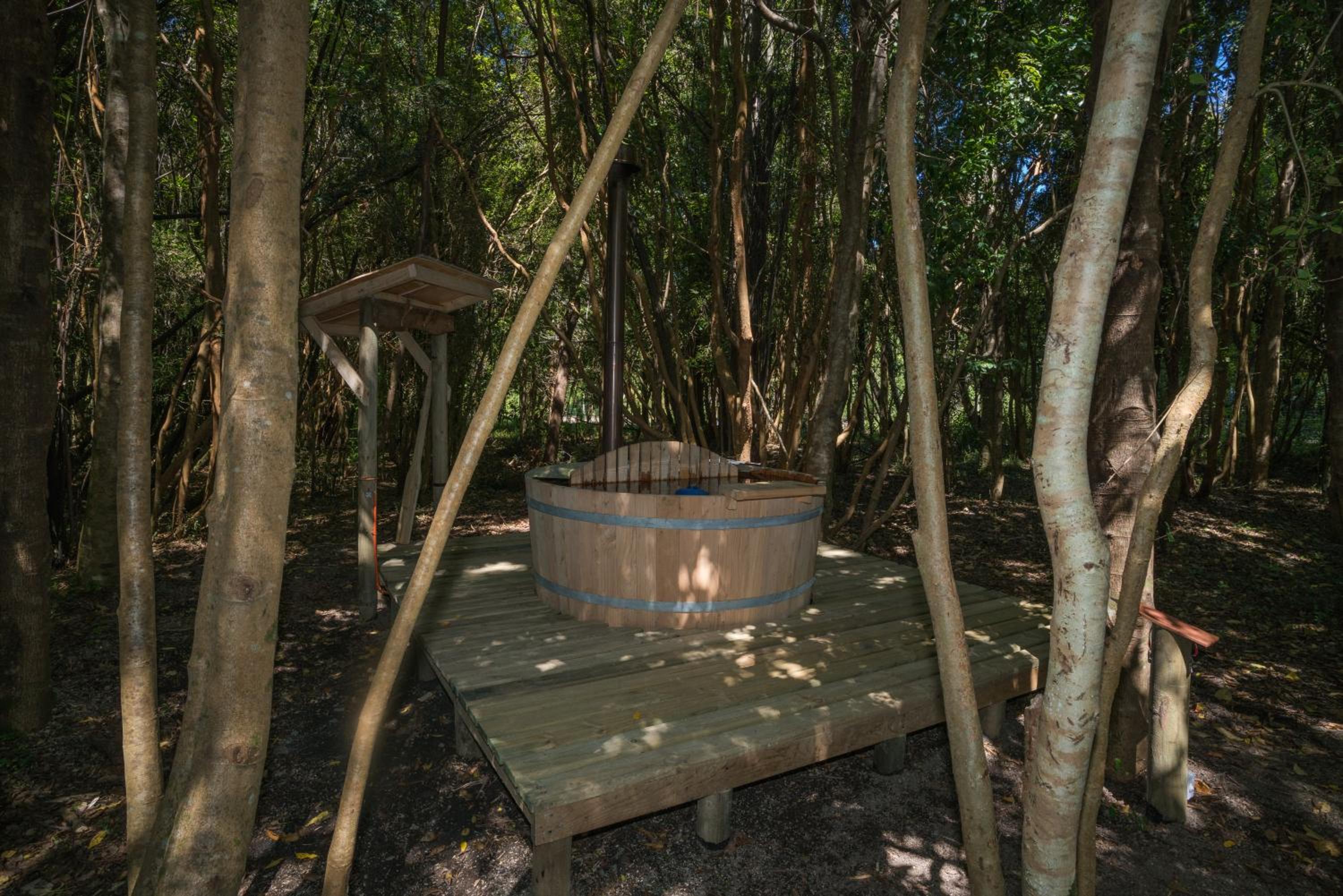 Cabañas Ensenada Bosque Nativo