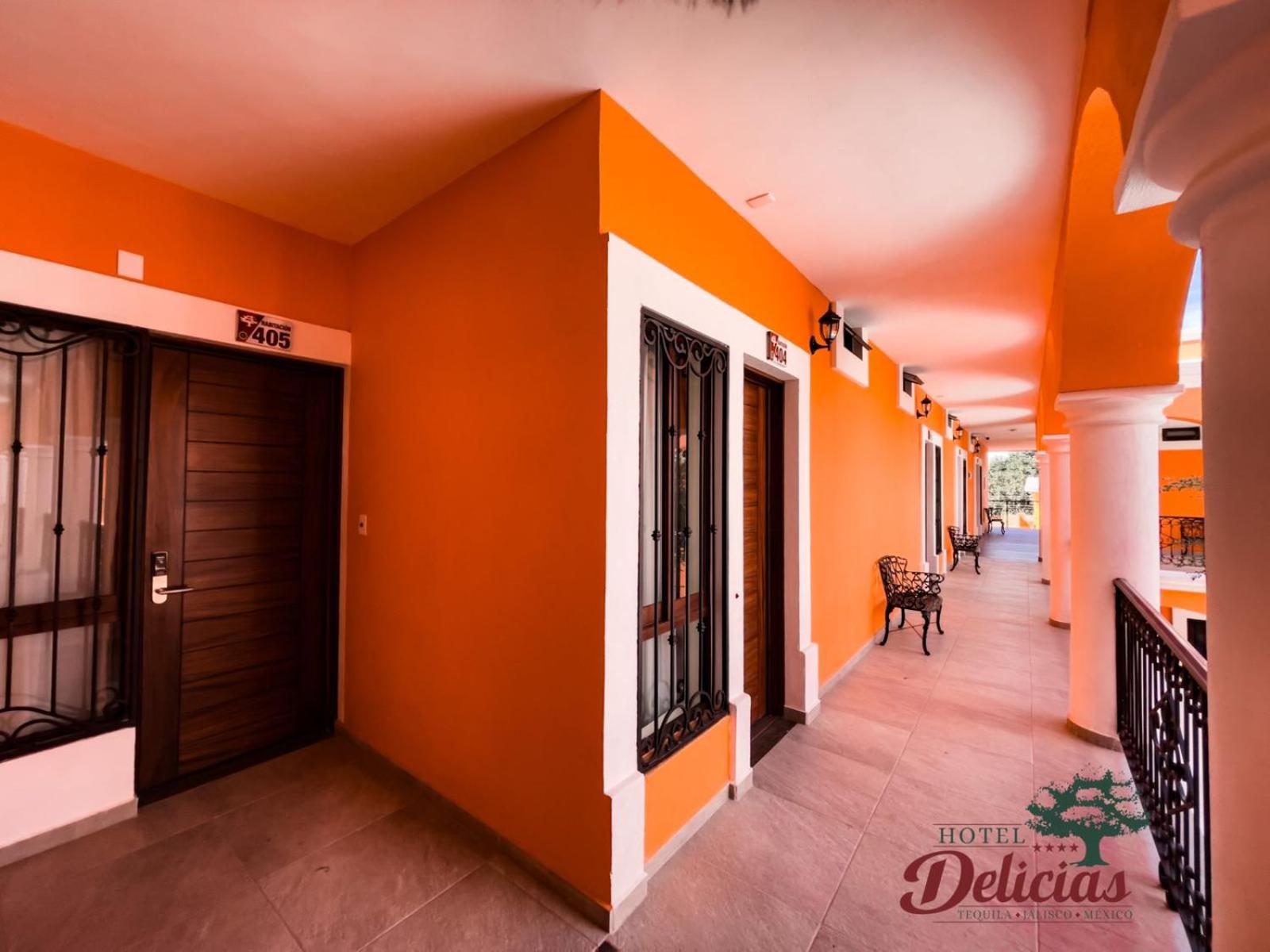Hotel Delicias Tequila view 5