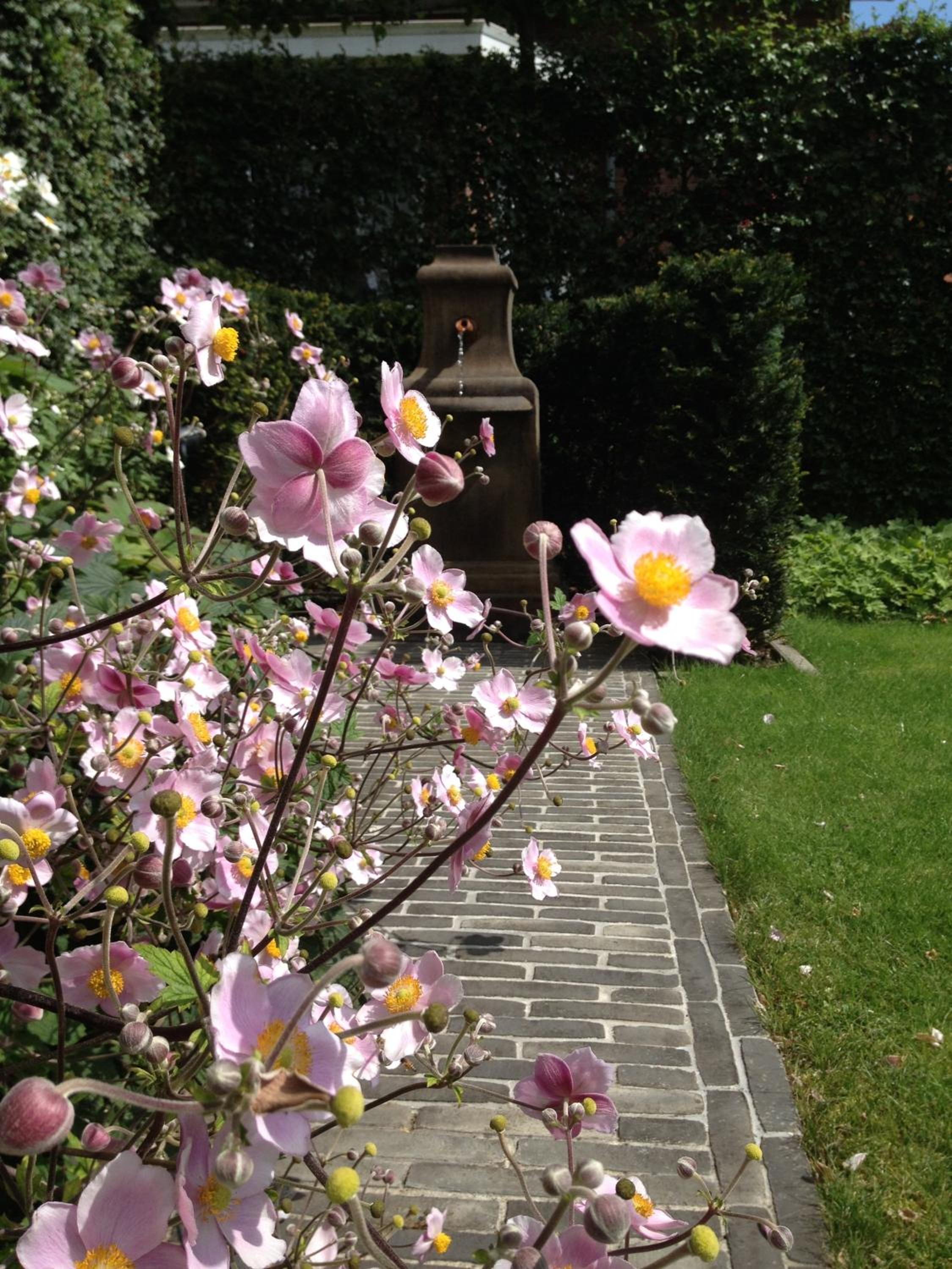 Guesthouse Villa Vauban