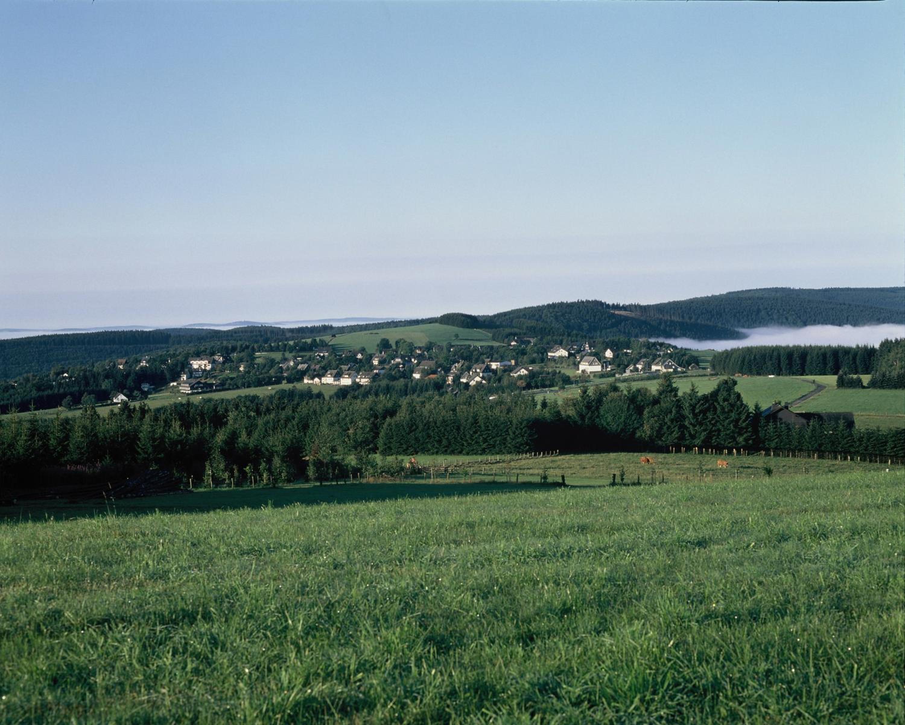Photo 100