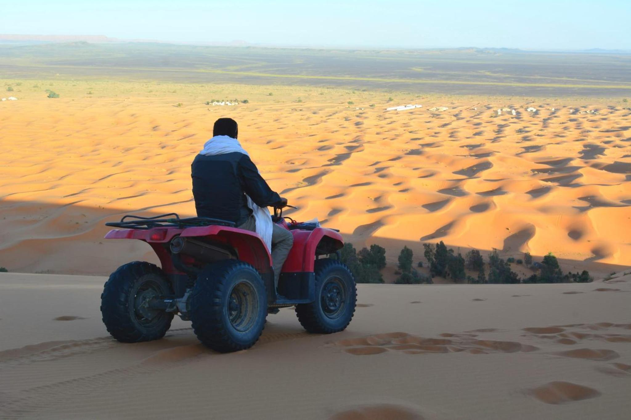 Desert Camel Trek
