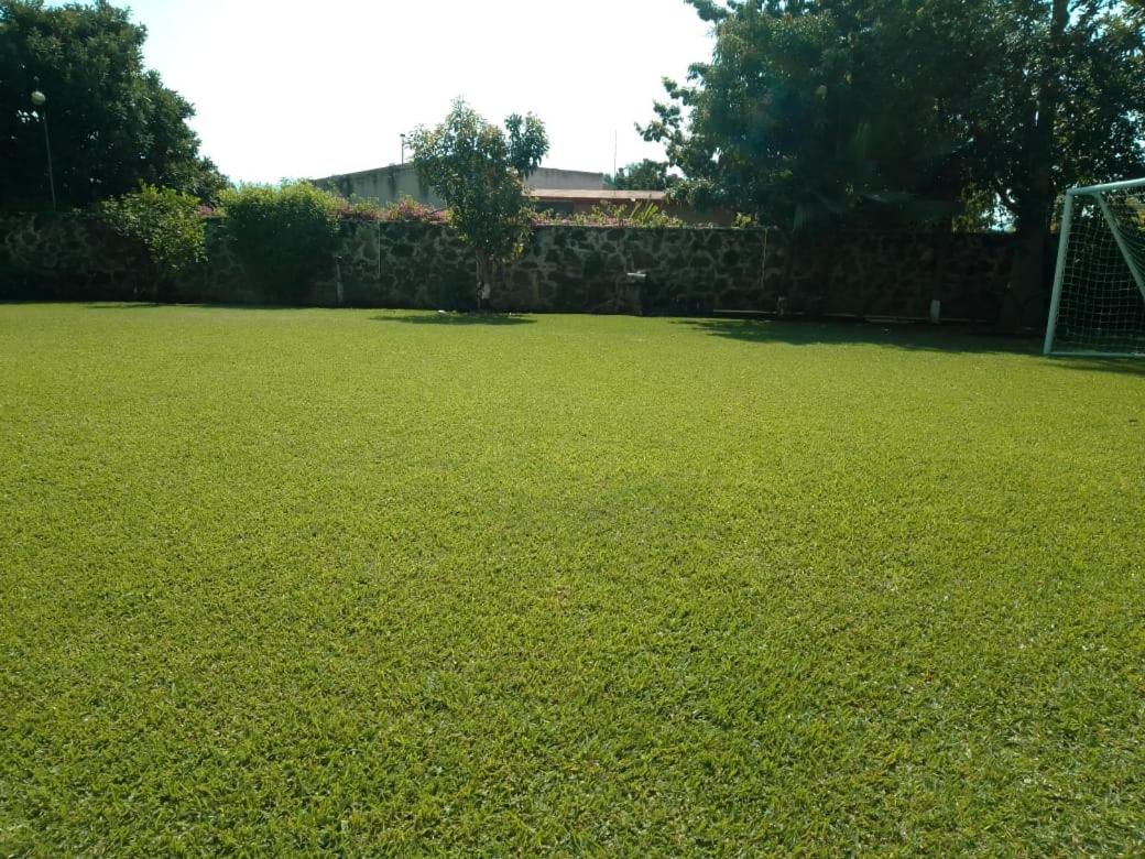 Photo 23