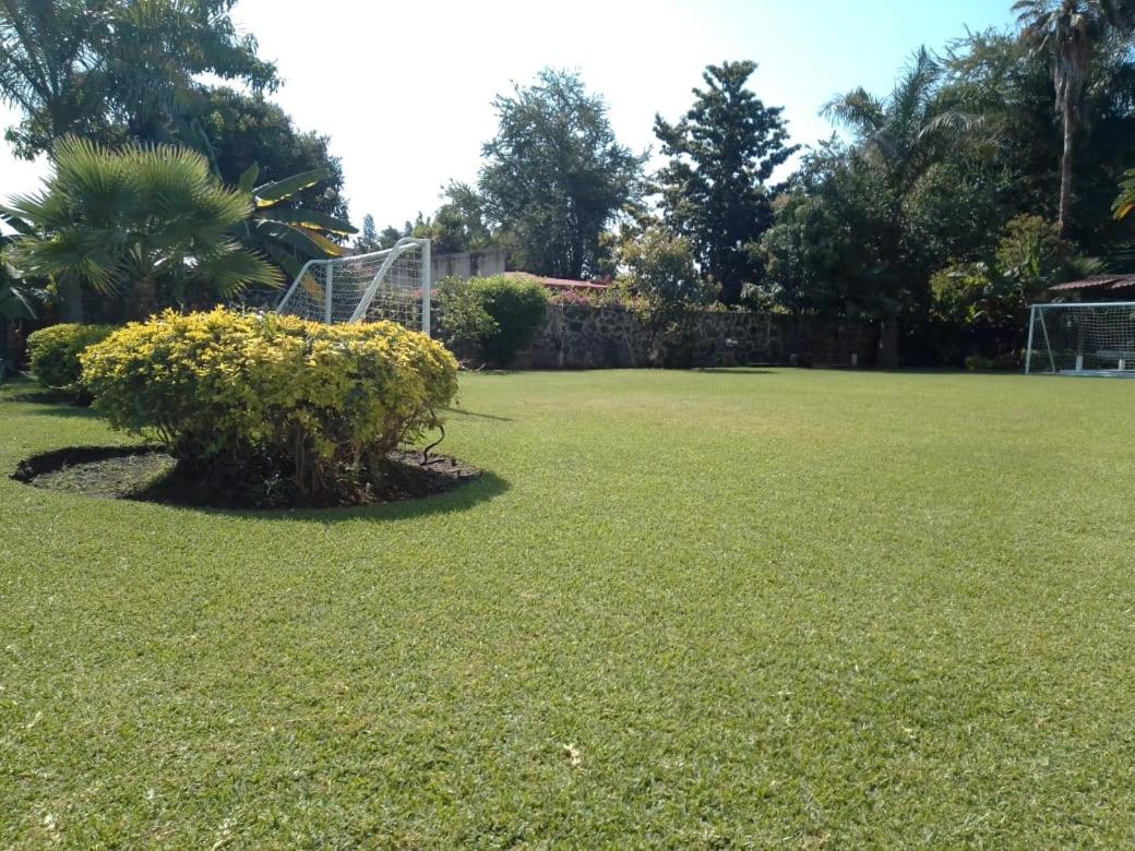 Photo 24