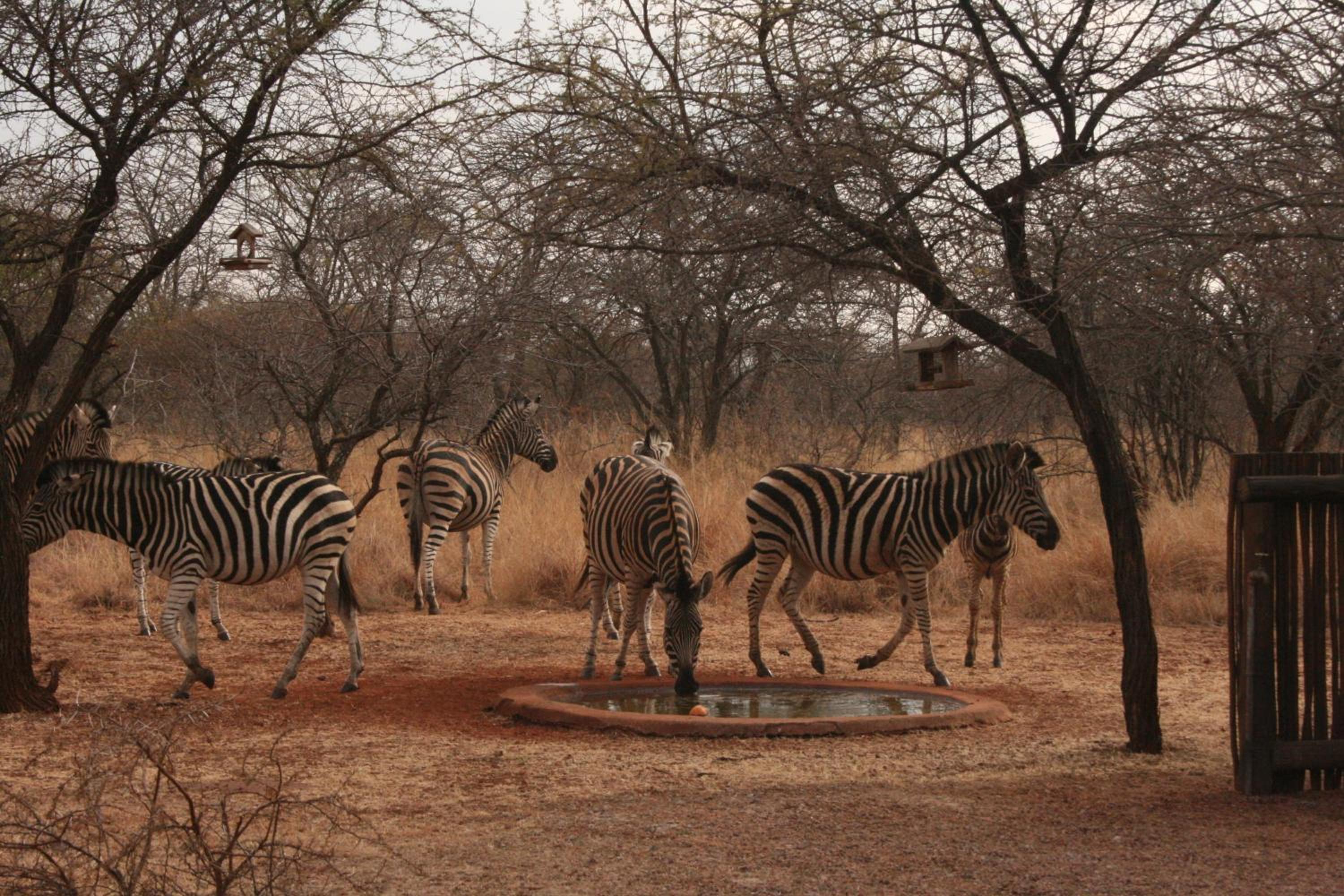 Makhato 84 Bush Lodge