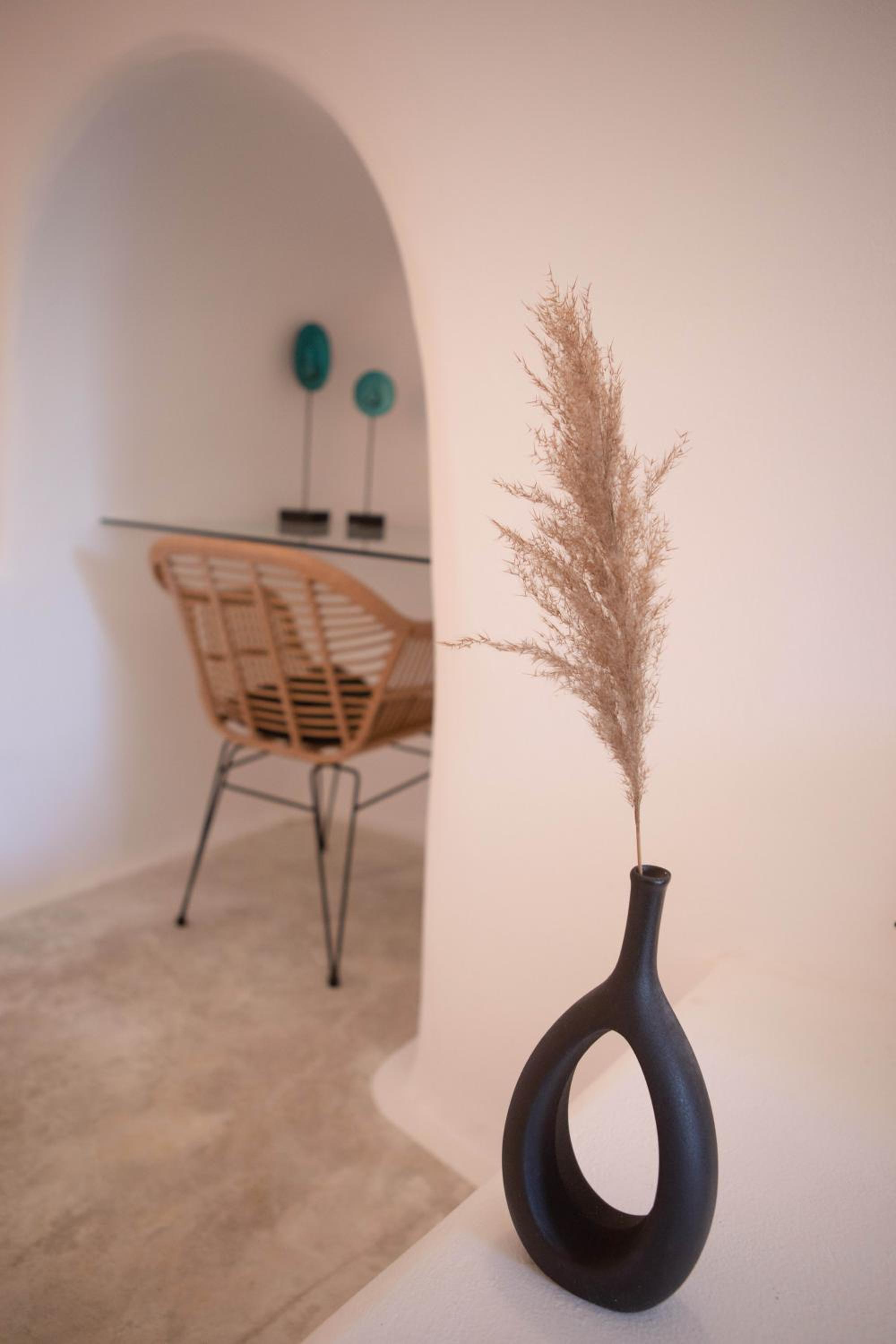 Assyrtiko by A Terre Cave Villas photo 3