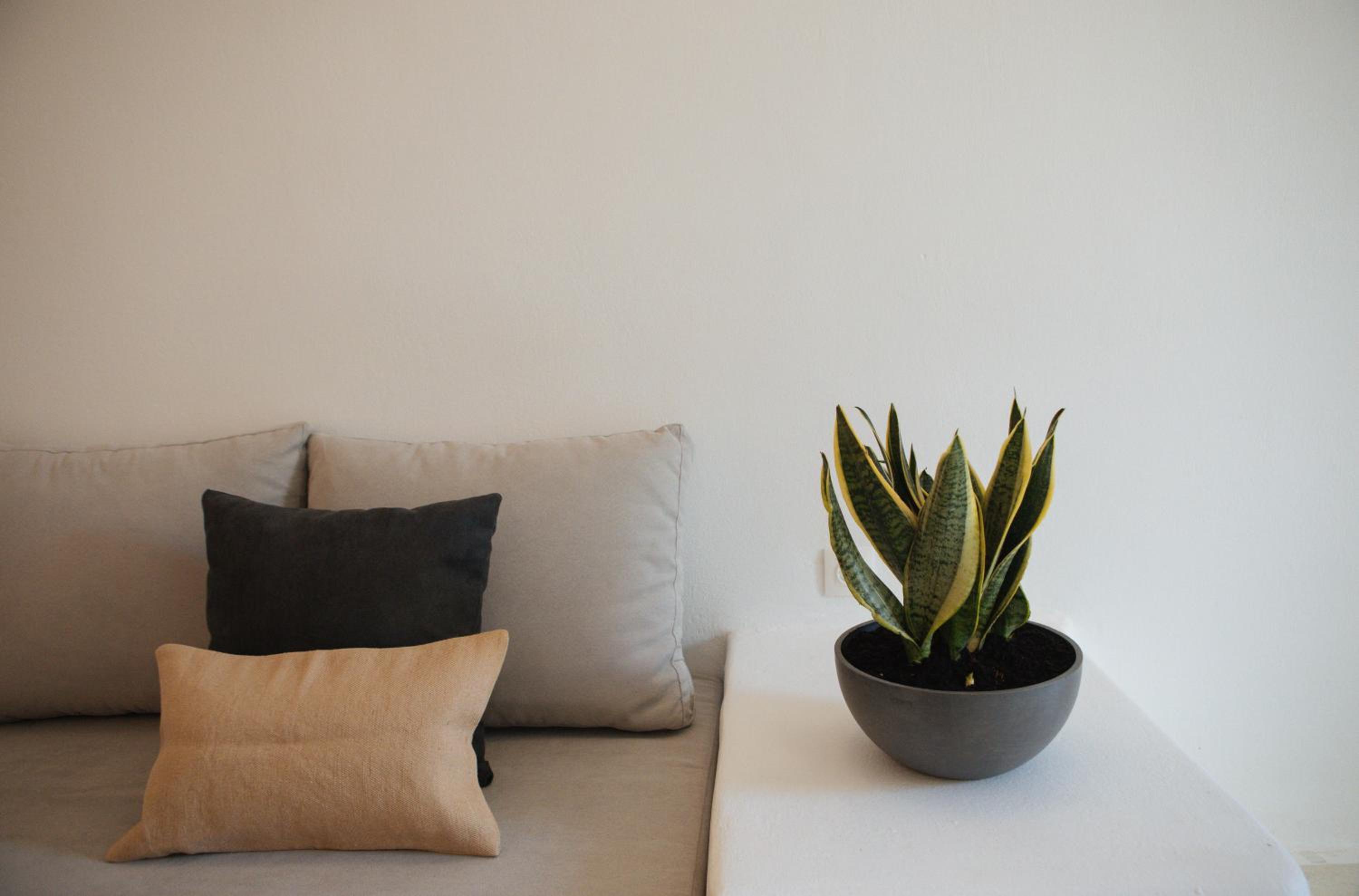 Assyrtiko by A Terre Cave Villas photo 2