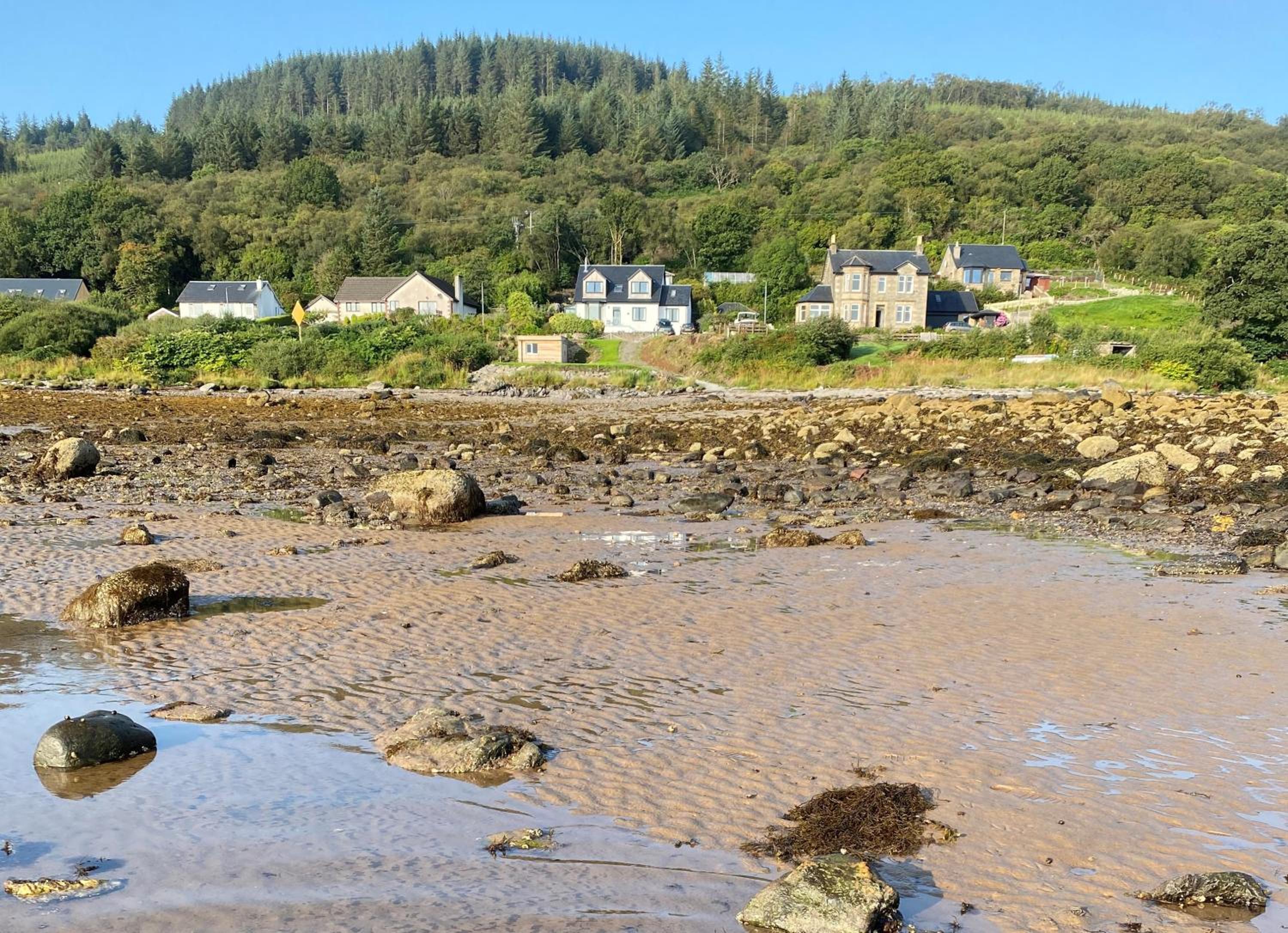 The Neuk view 5