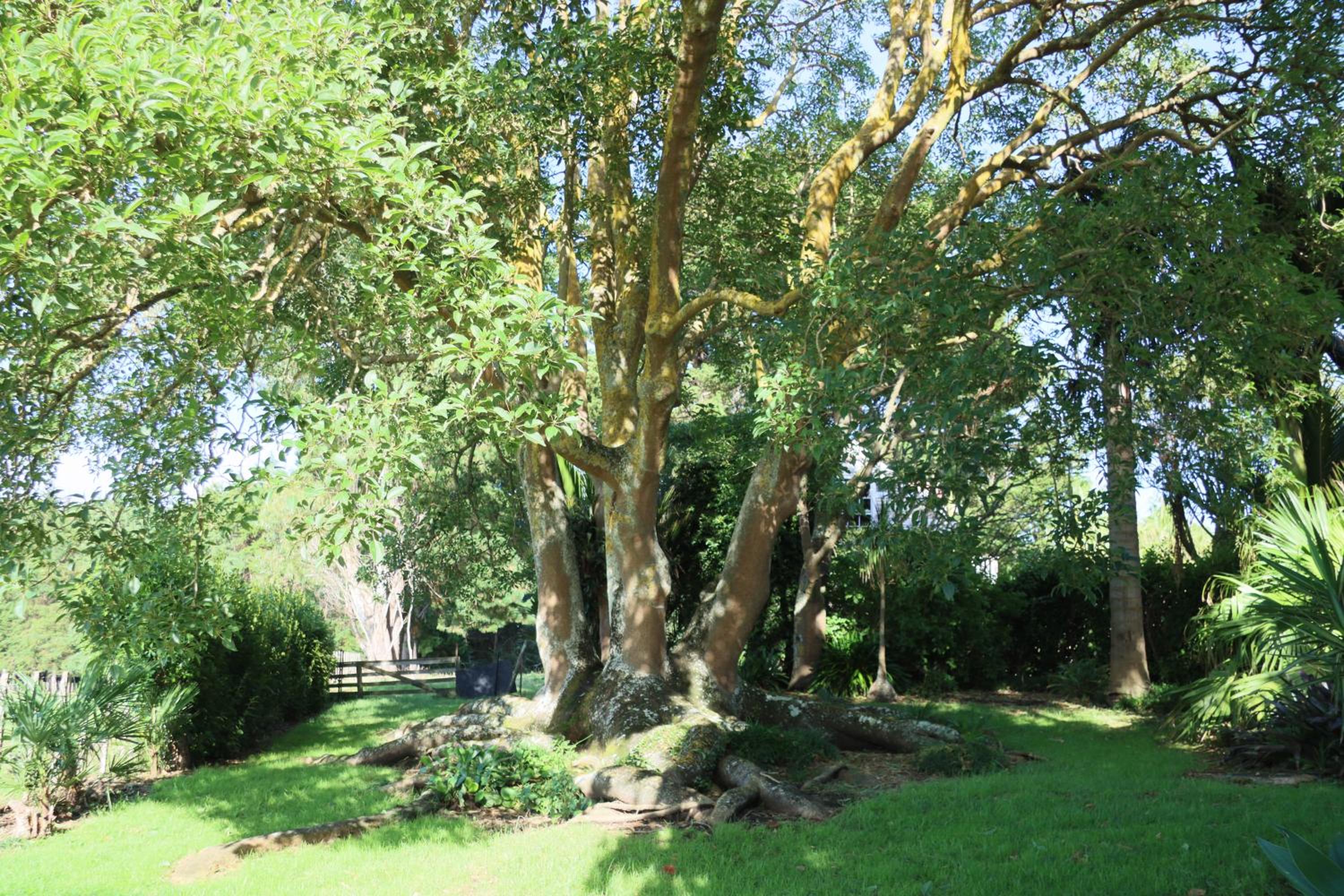 Photo 26