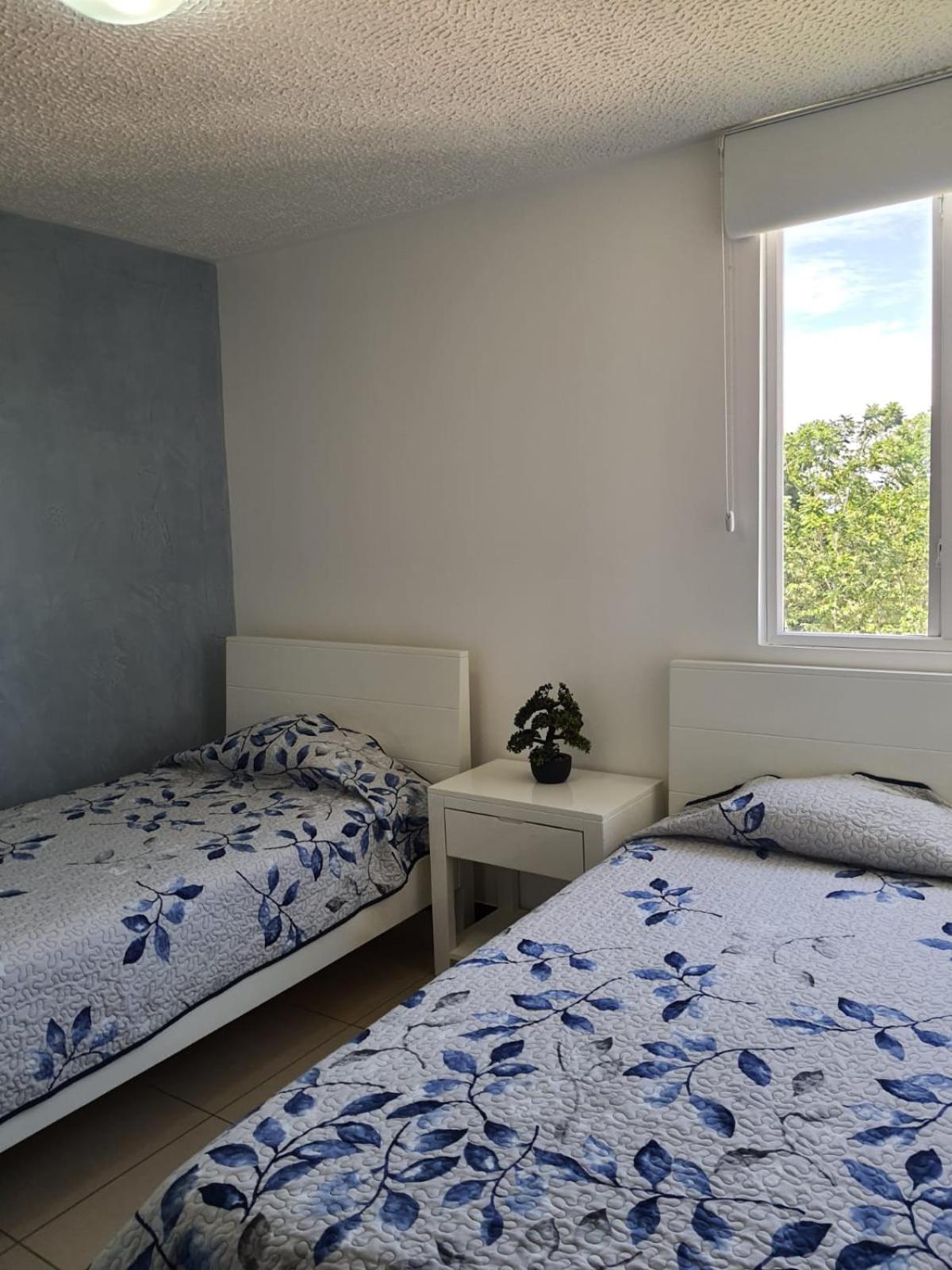 3Rooms Amaizing Beach Studio