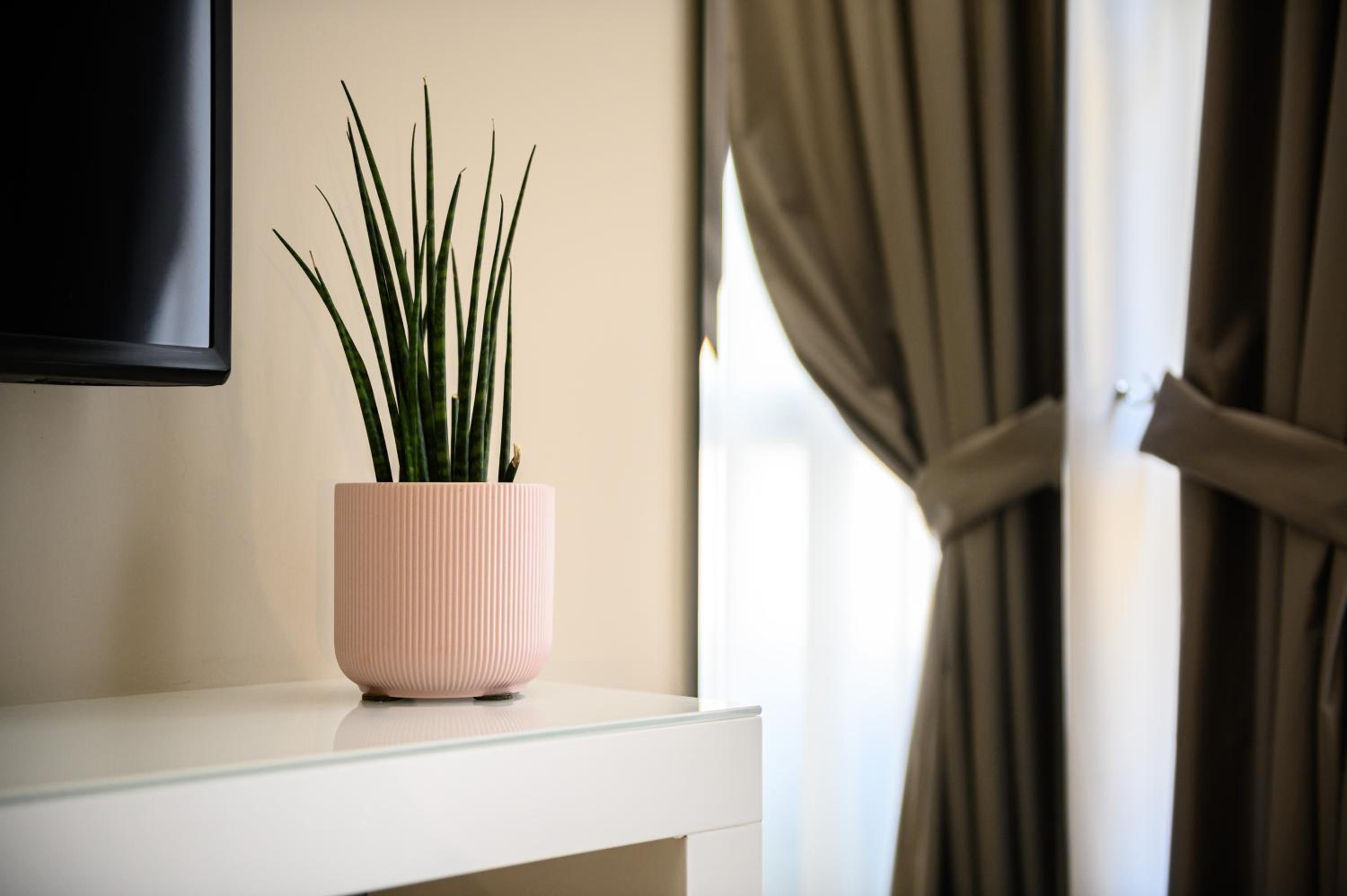 Alma Suites