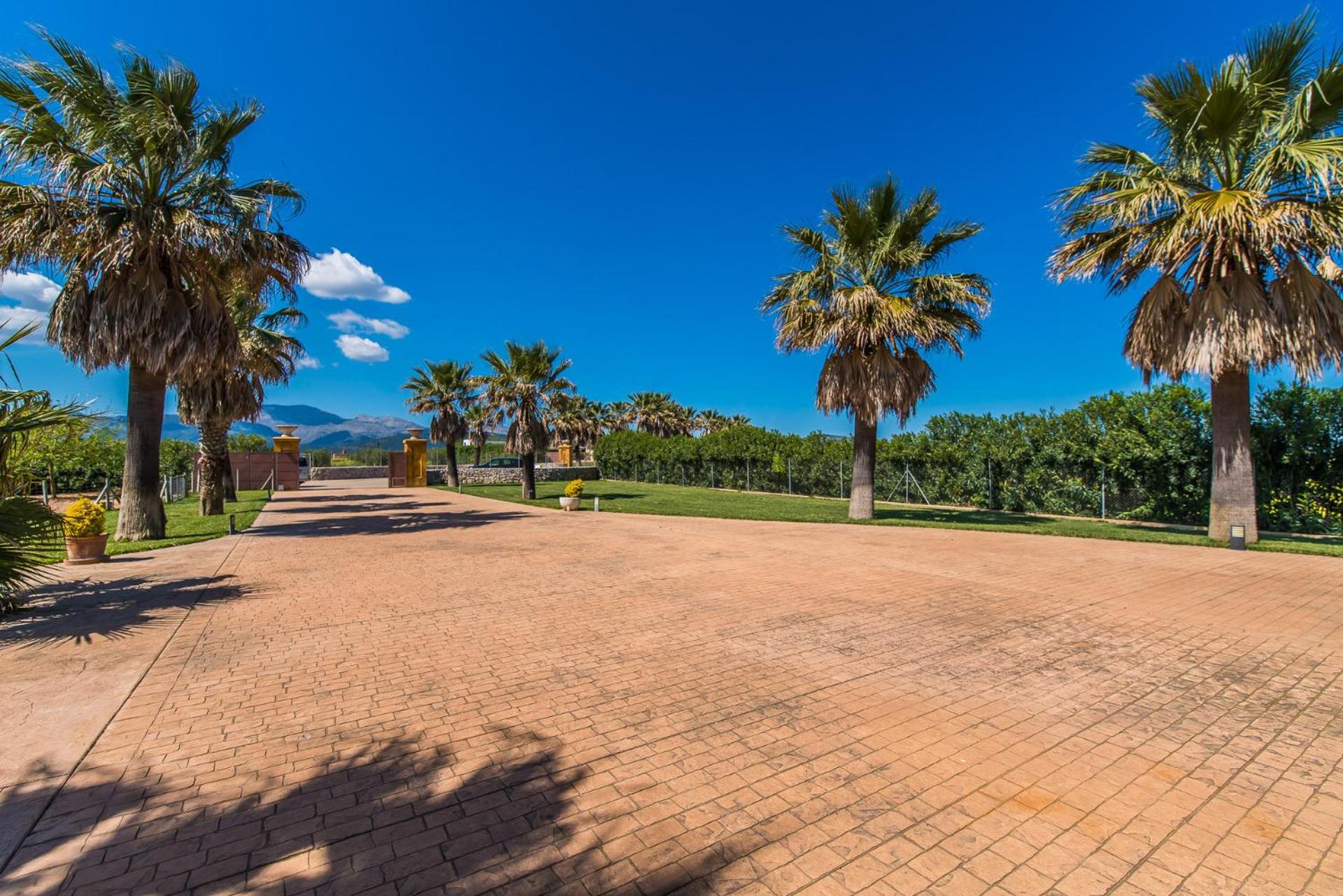 Ideal Property Mallorca - Son Manyo 223 photo 5