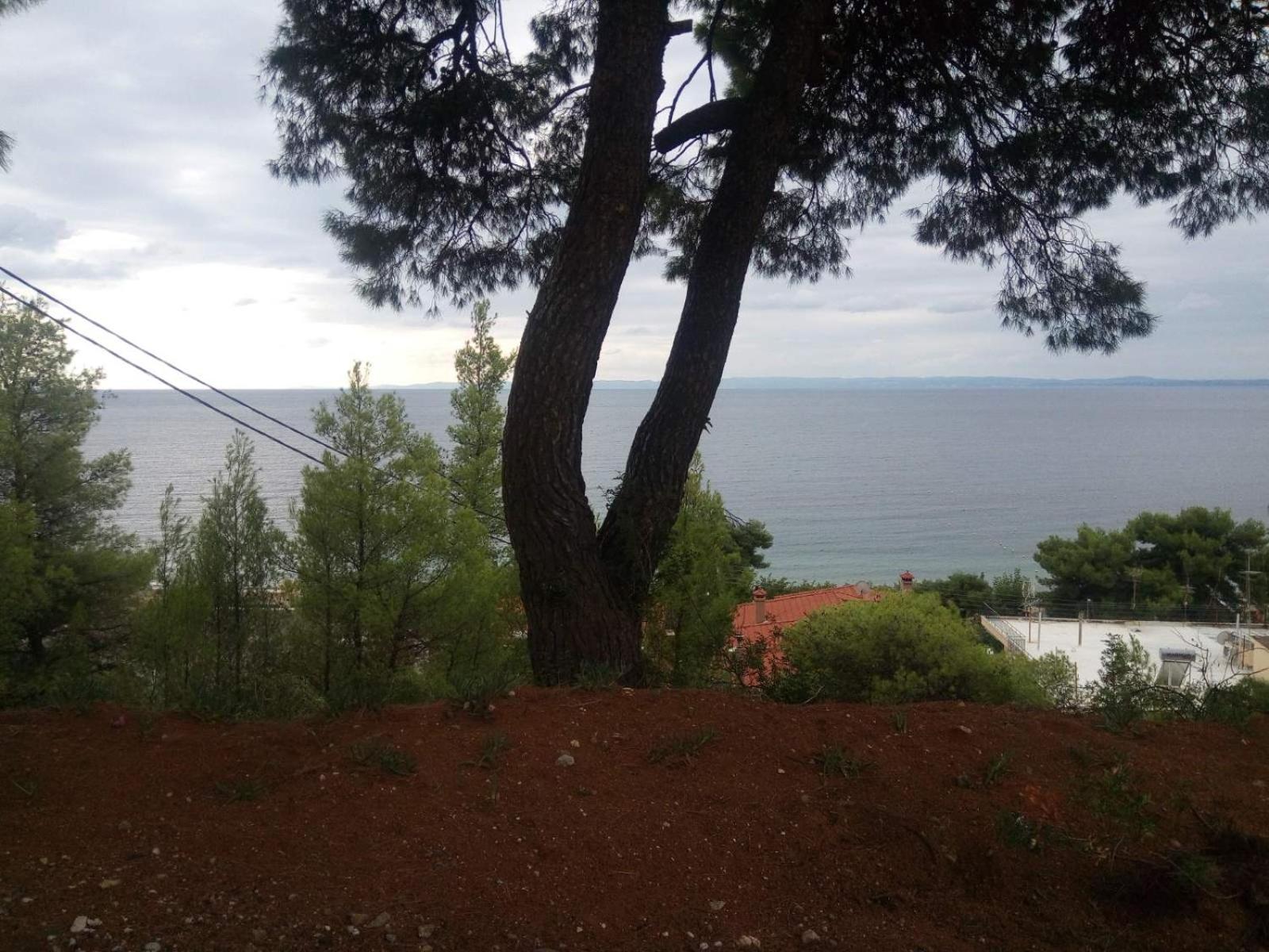 Pefkonas apartments2 100 m from the beach view 5