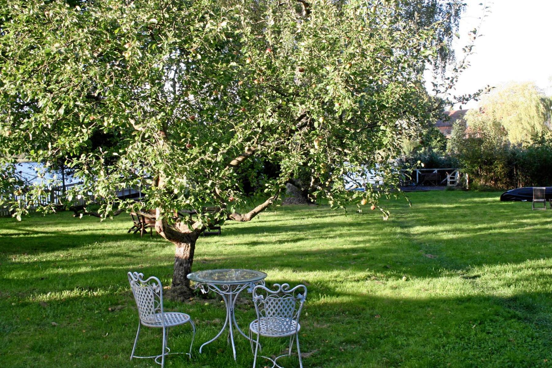 Photo 47