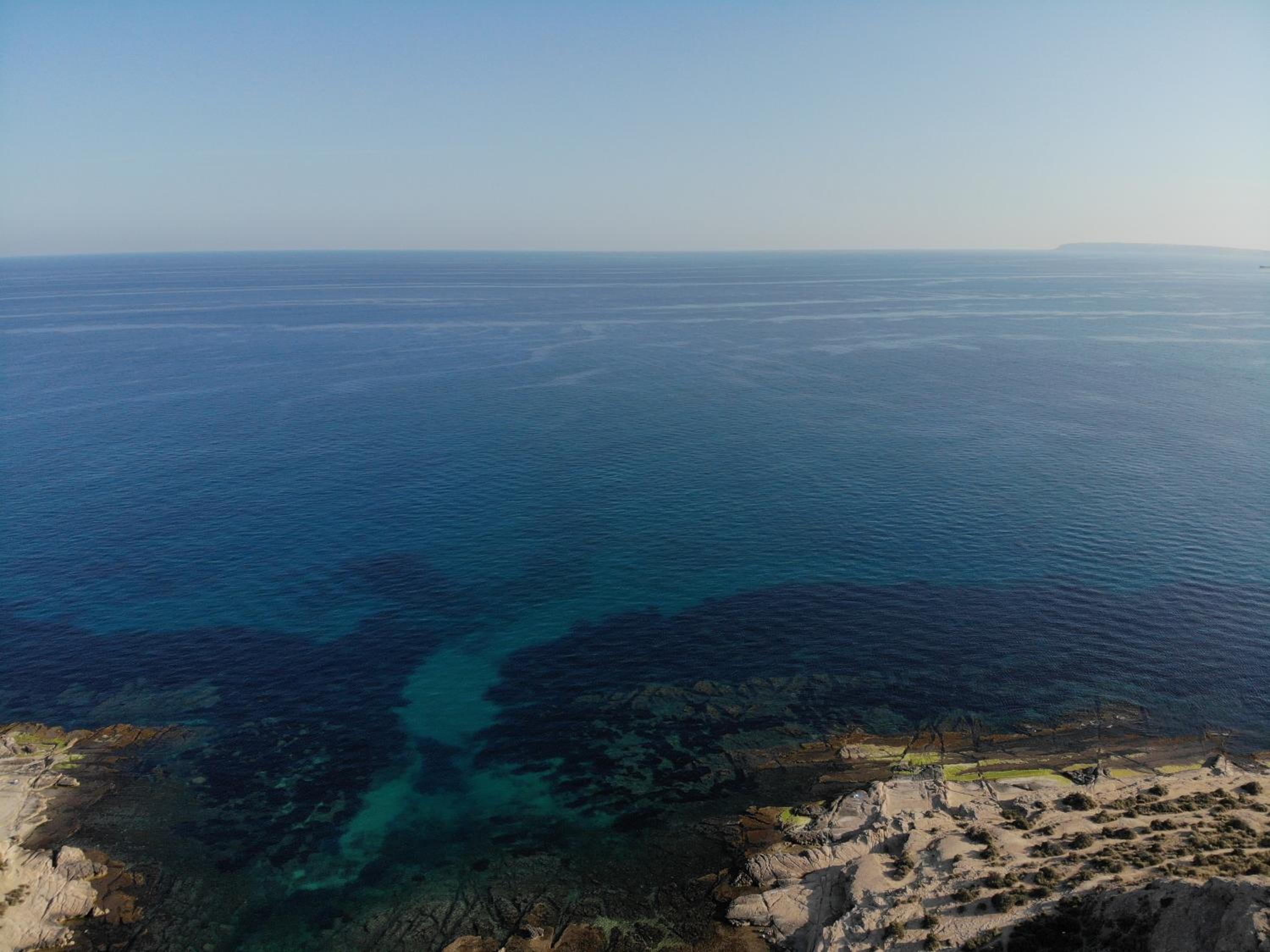 "LA FAVORITA" view 5