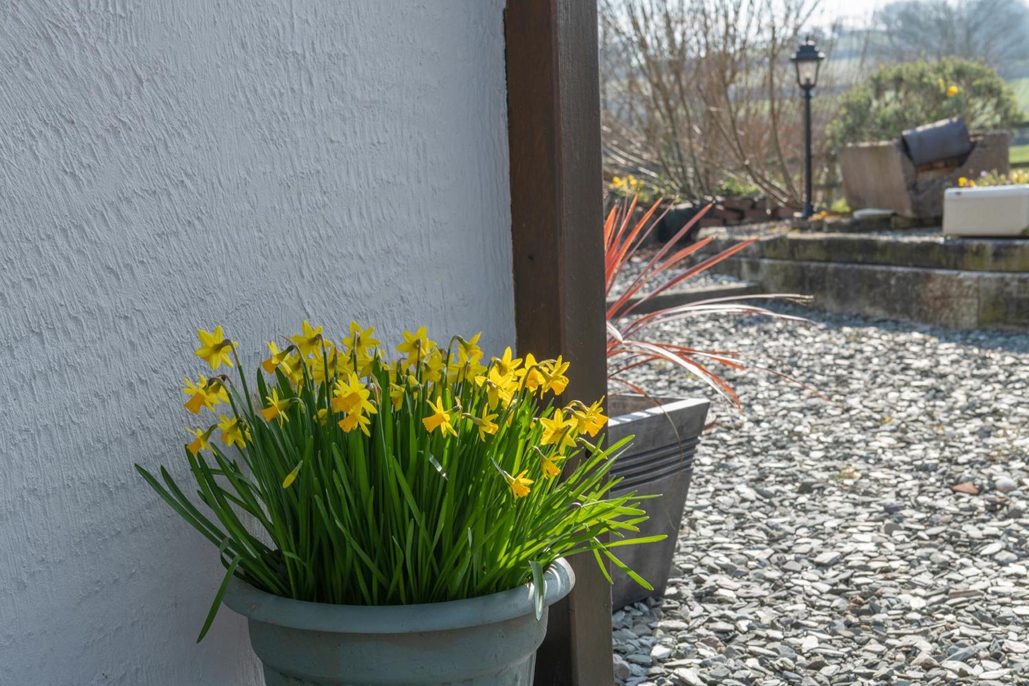 Beautiful Countryside cottage on the North Wales Coast view 2