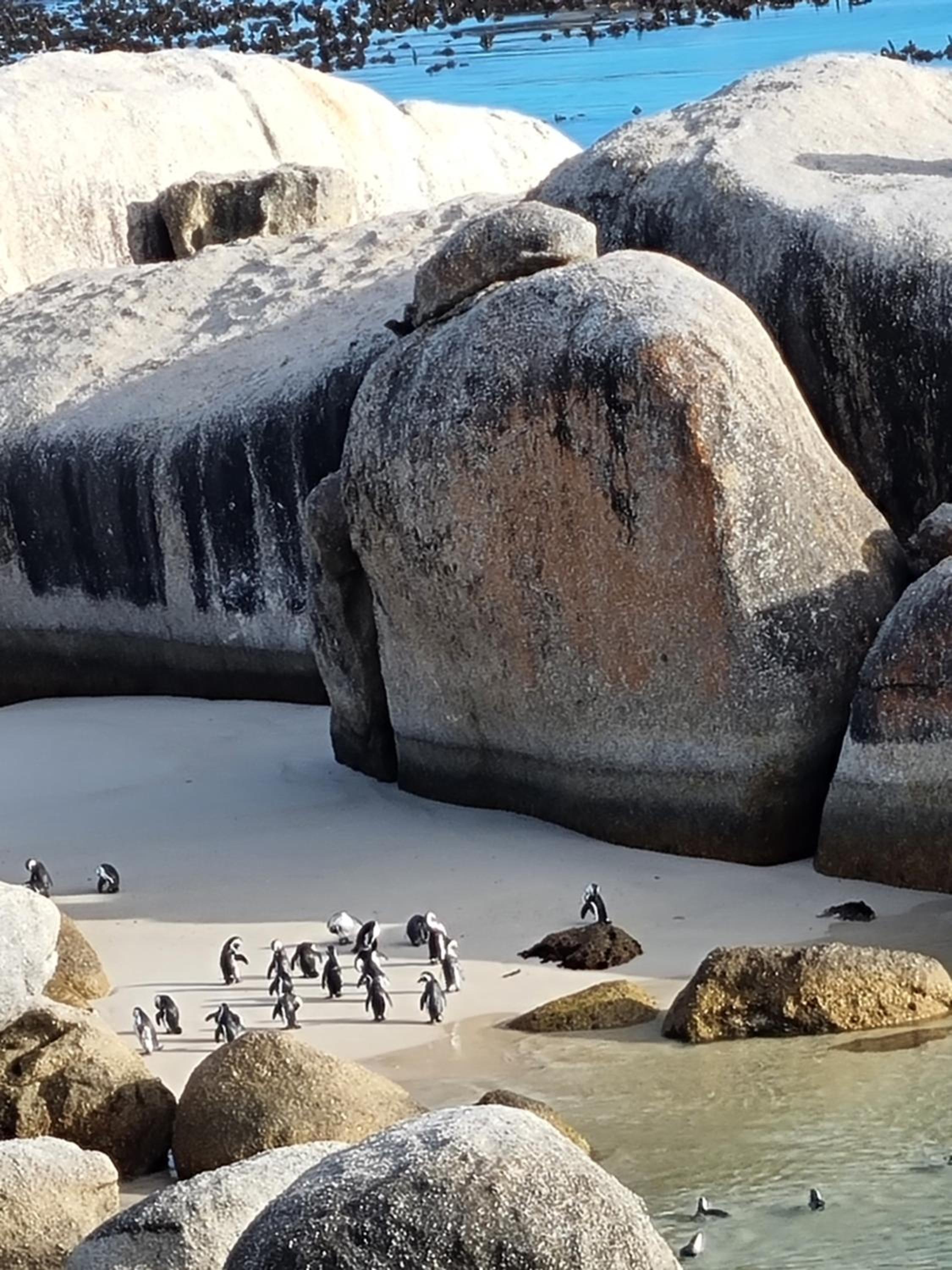 Boulders Beach House