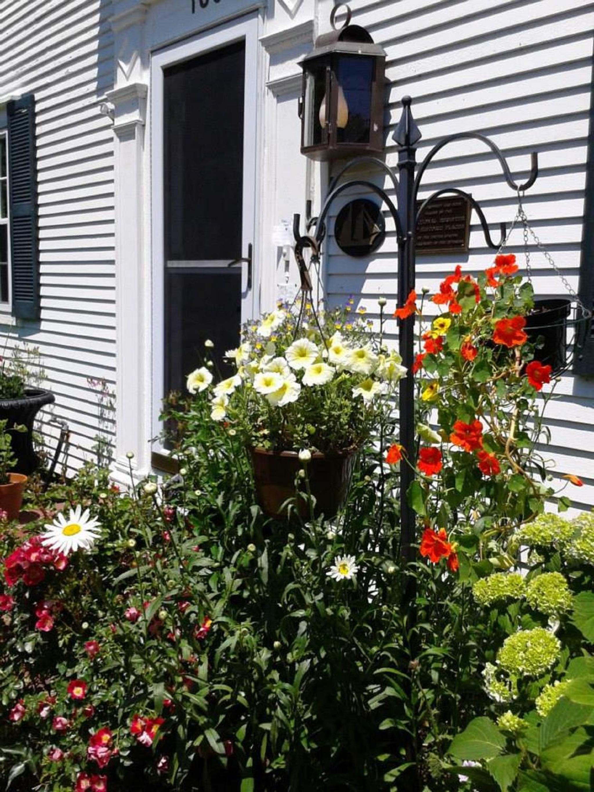 Photo 42