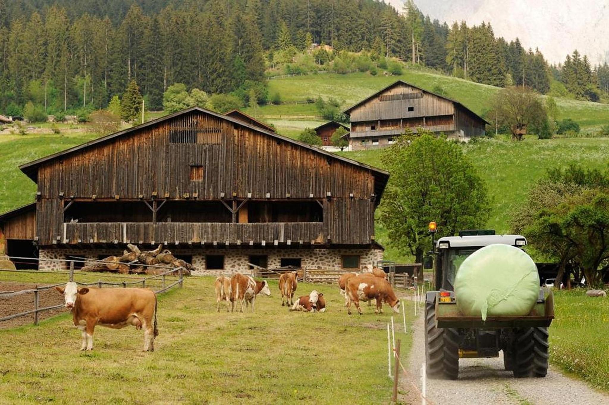 Moserhof Ferienwohnung Schartblick