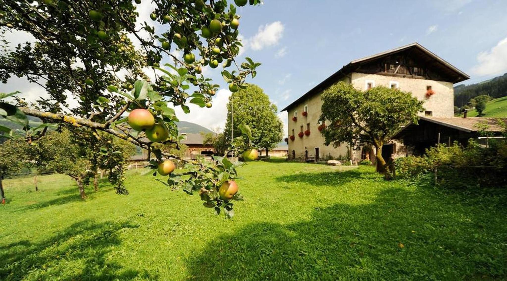 Moserhof Ferienwohnung Schartblick