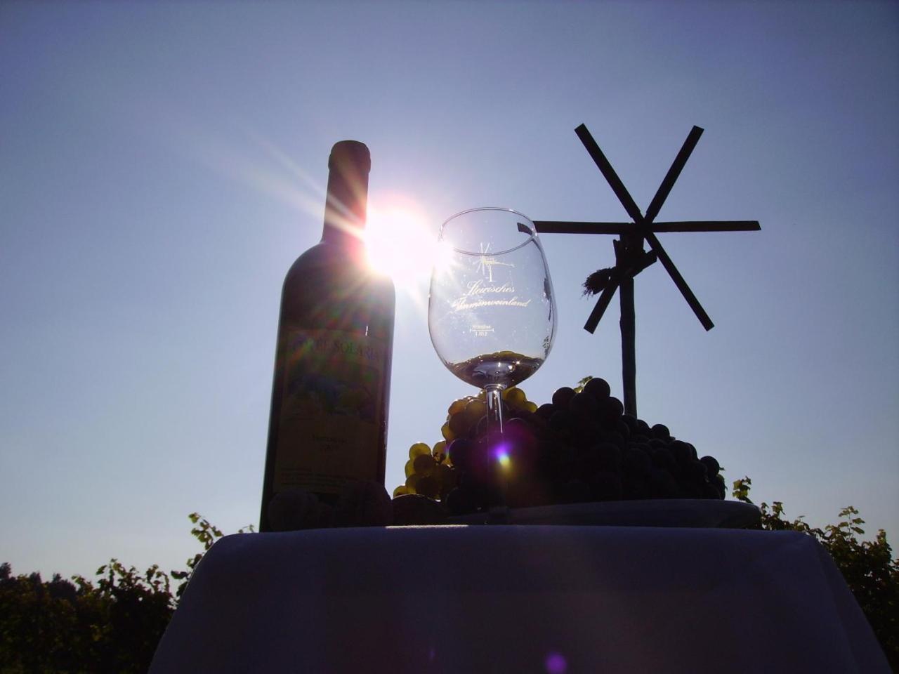 Appartement Weingut Schoberhof