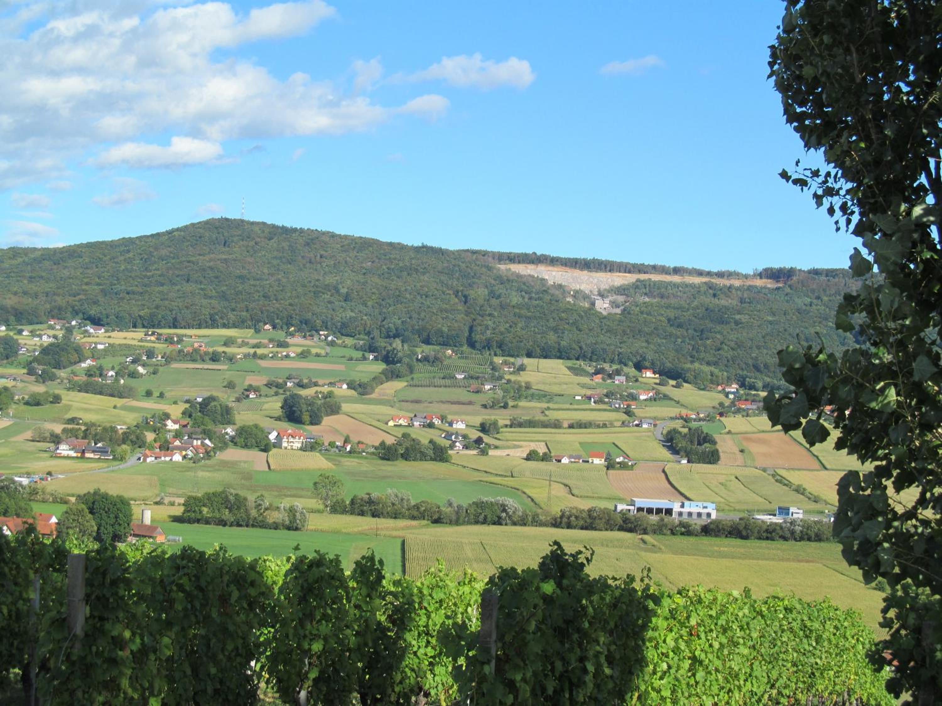 Appartement Weingut Schoberhof