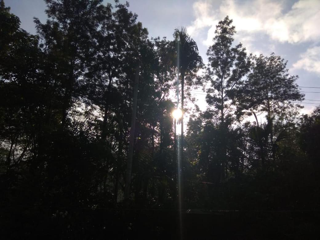 Dreams River view homestay coorg B view 4