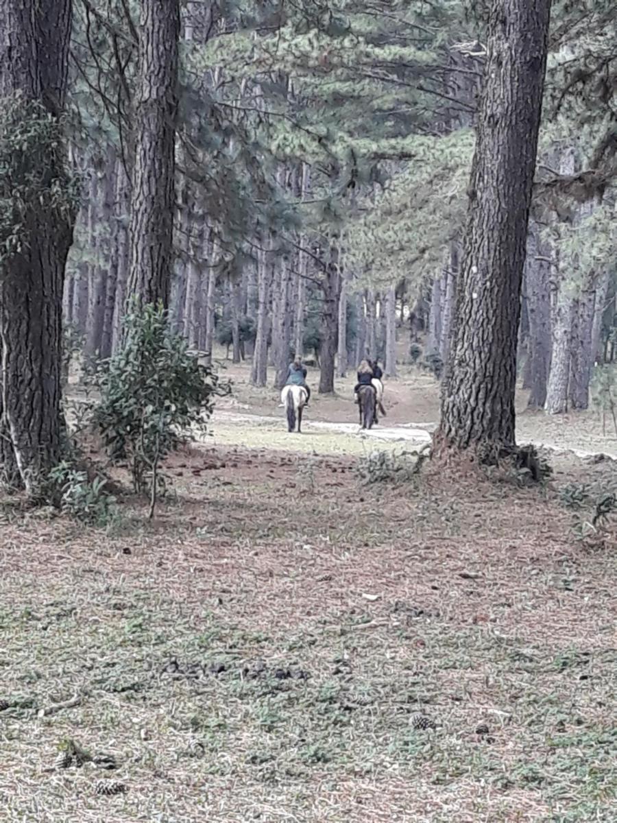 children's play area