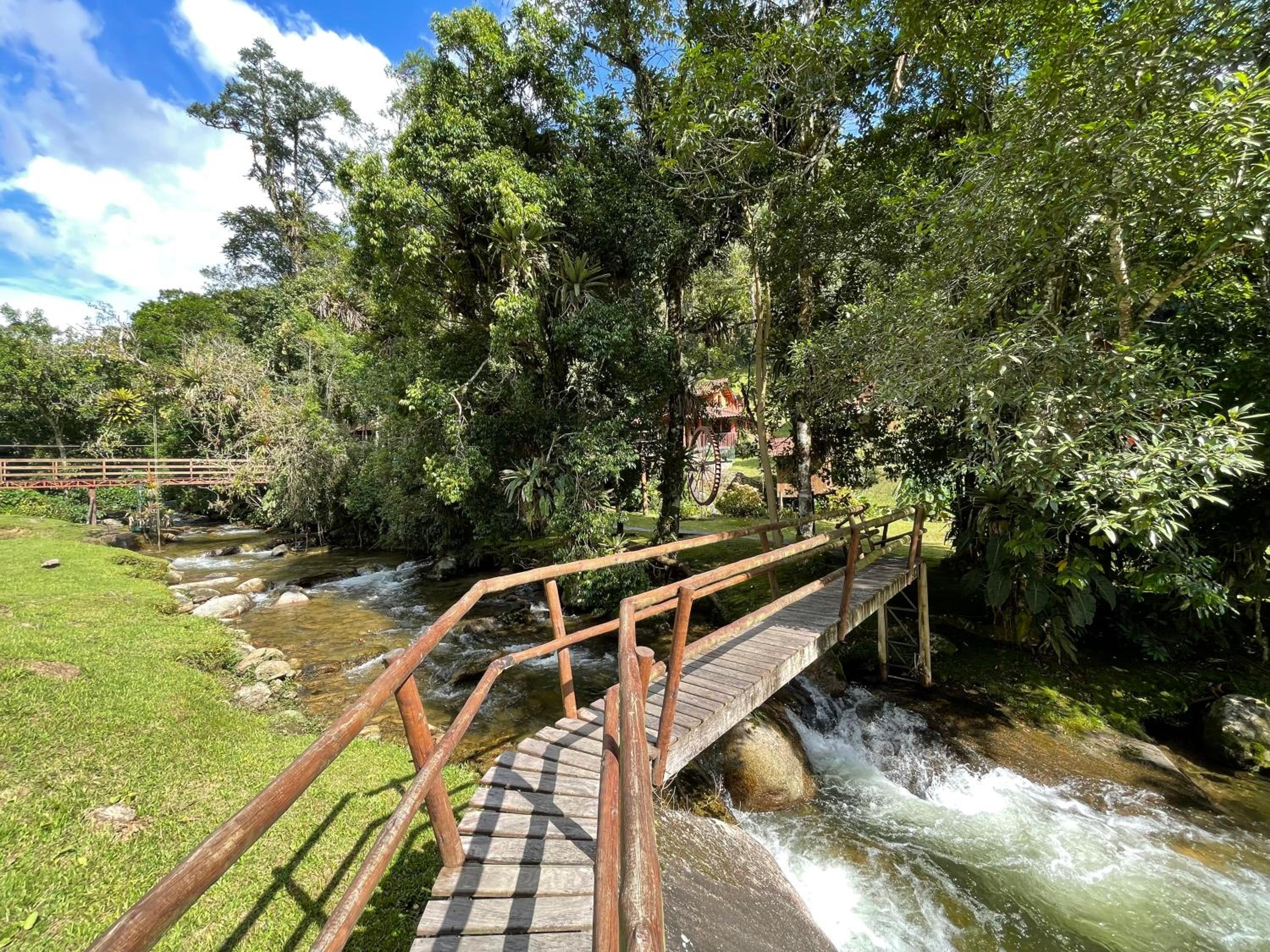 Chalé rústico truta dá floresta 3