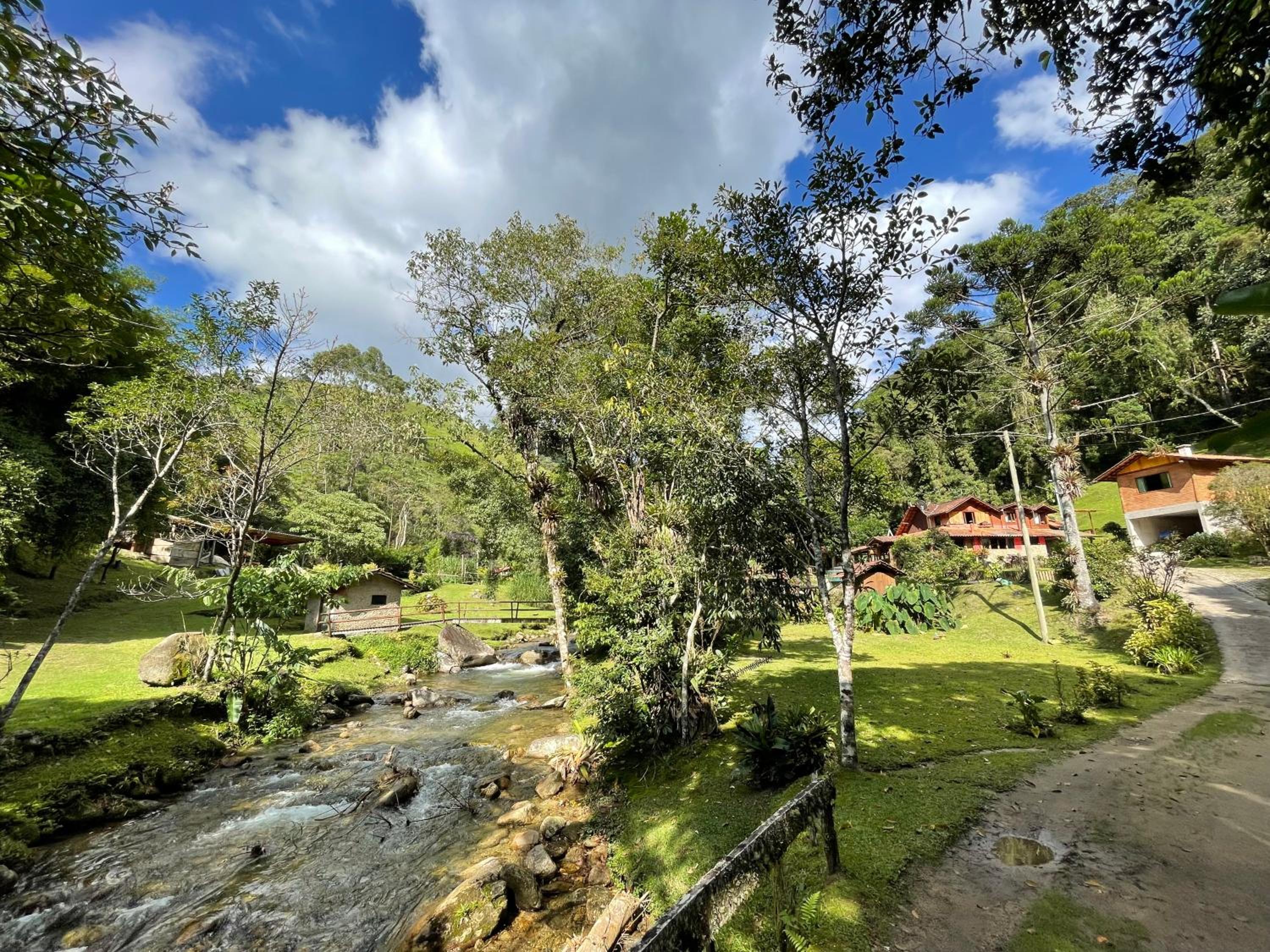 Chalé rústico truta dá floresta 3