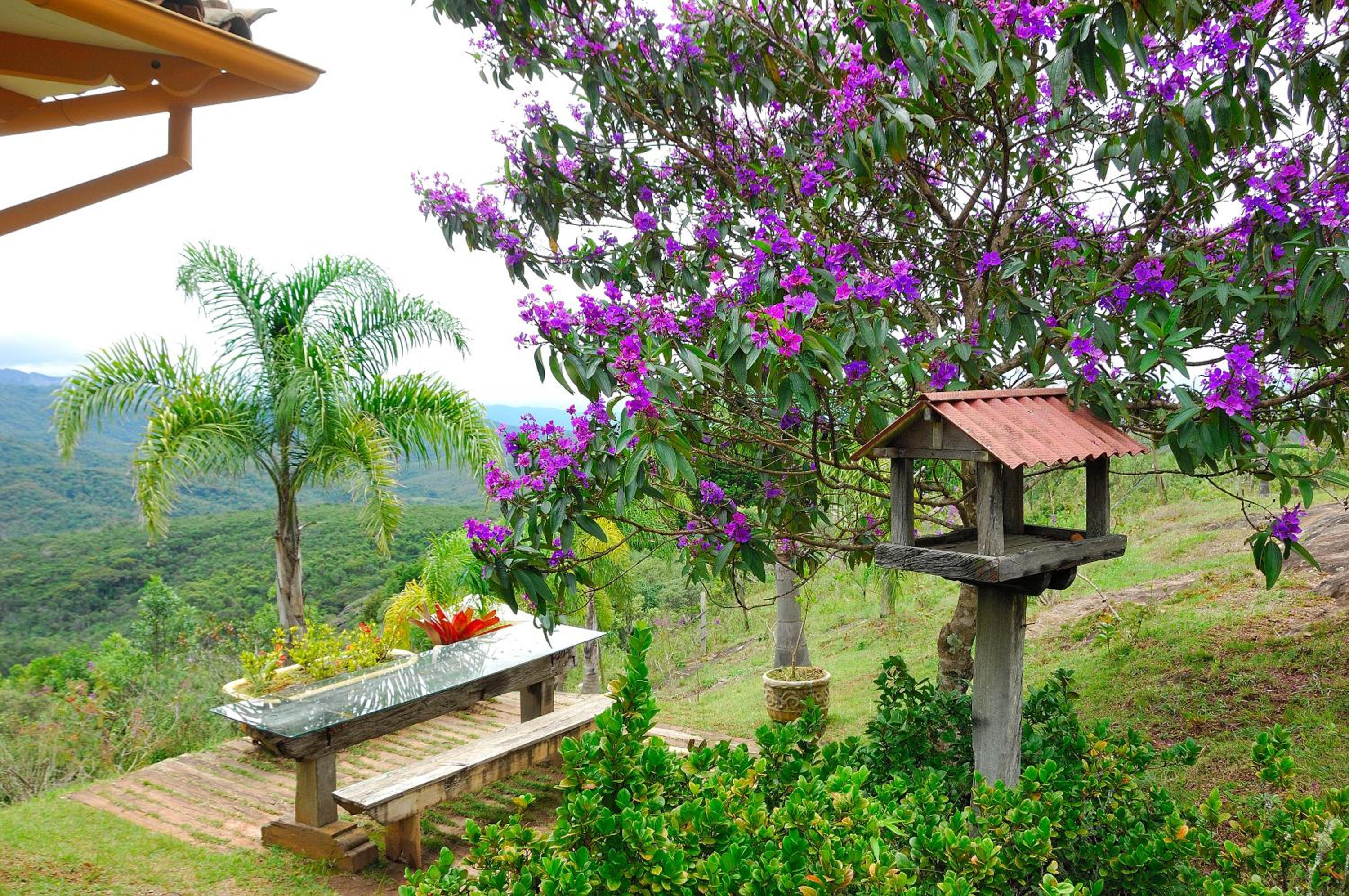 outdoor BBQ area
