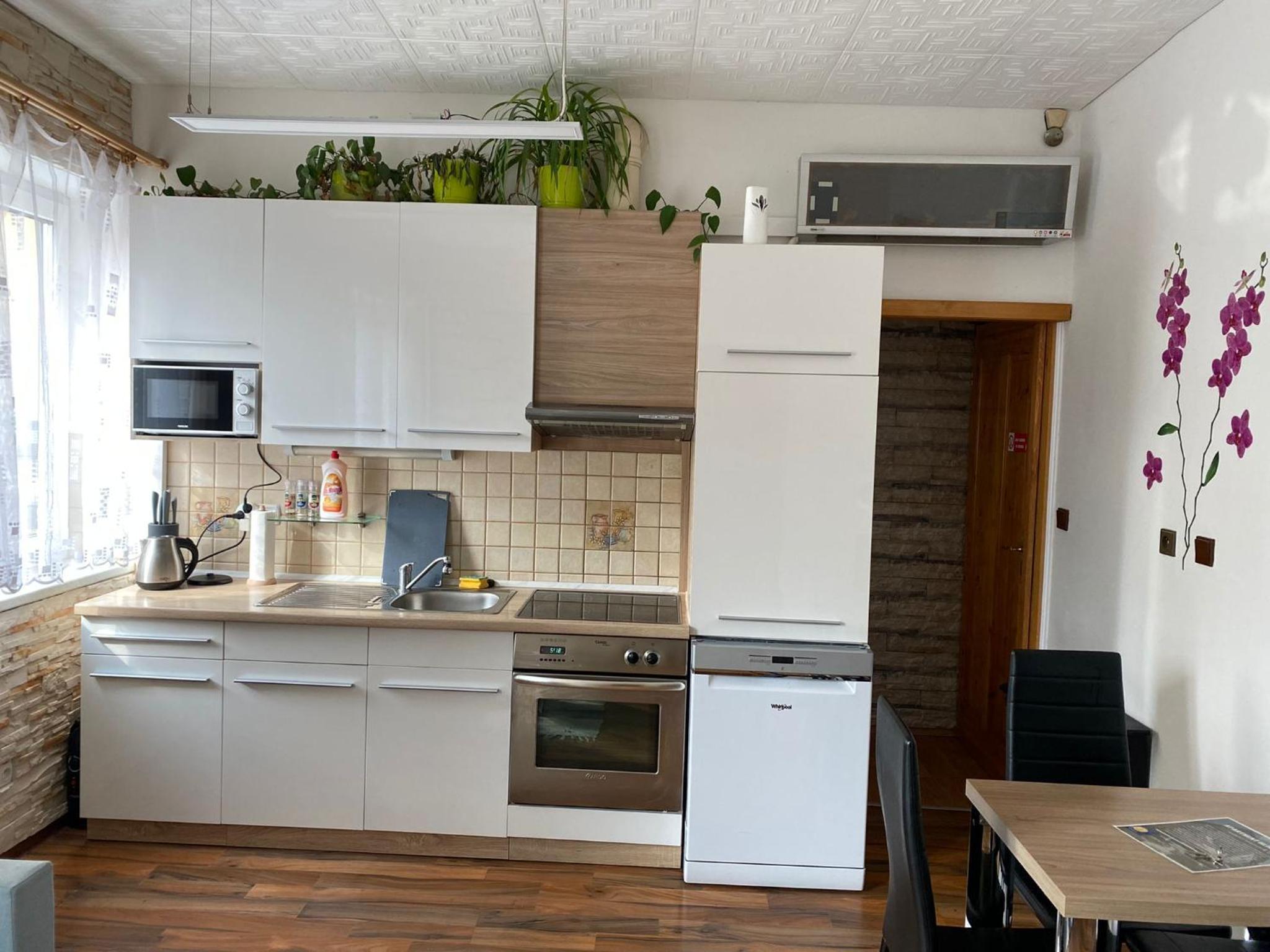 Apartment Hlinská