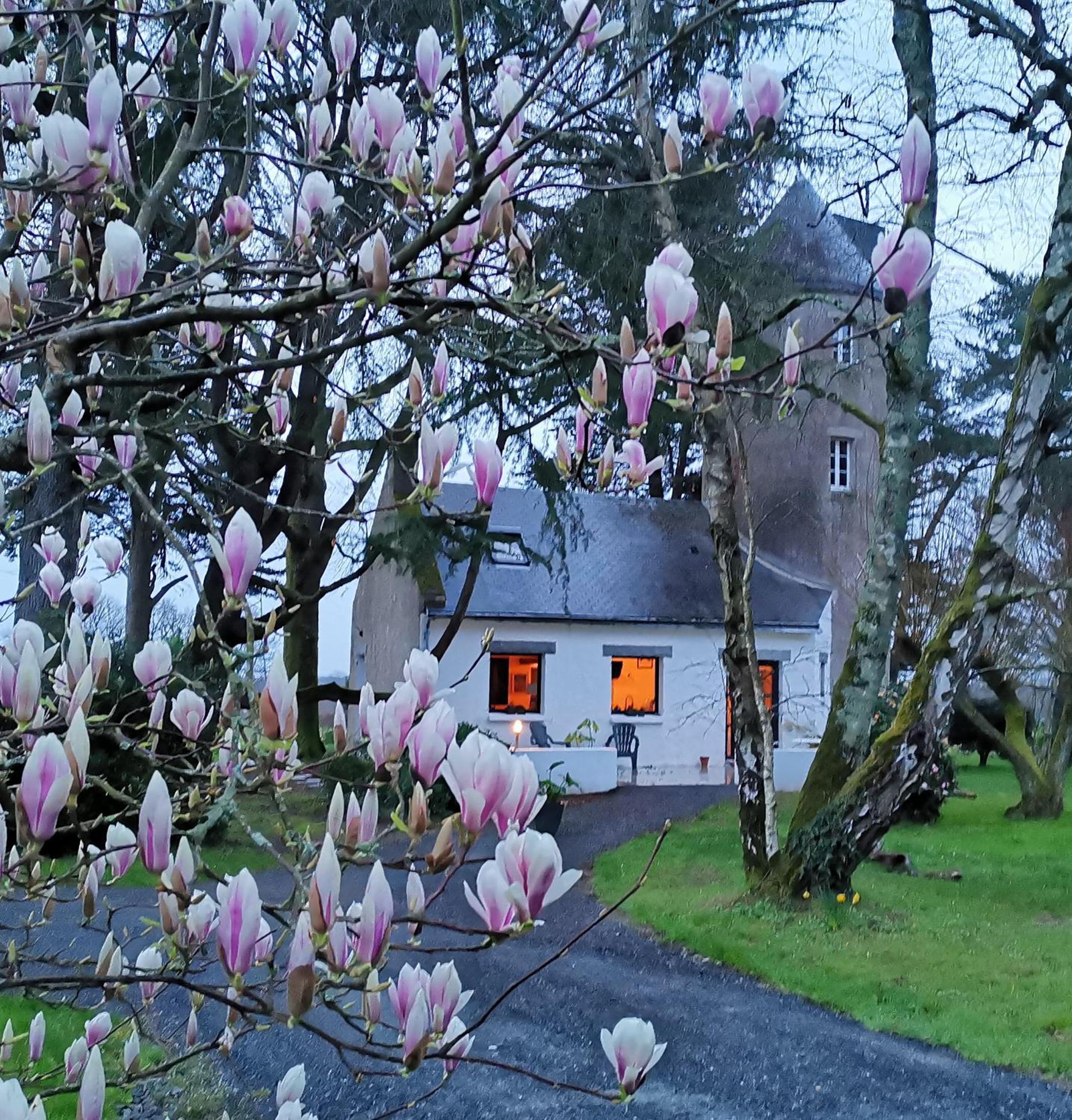 Le moulin de La Retardière - Image 3
