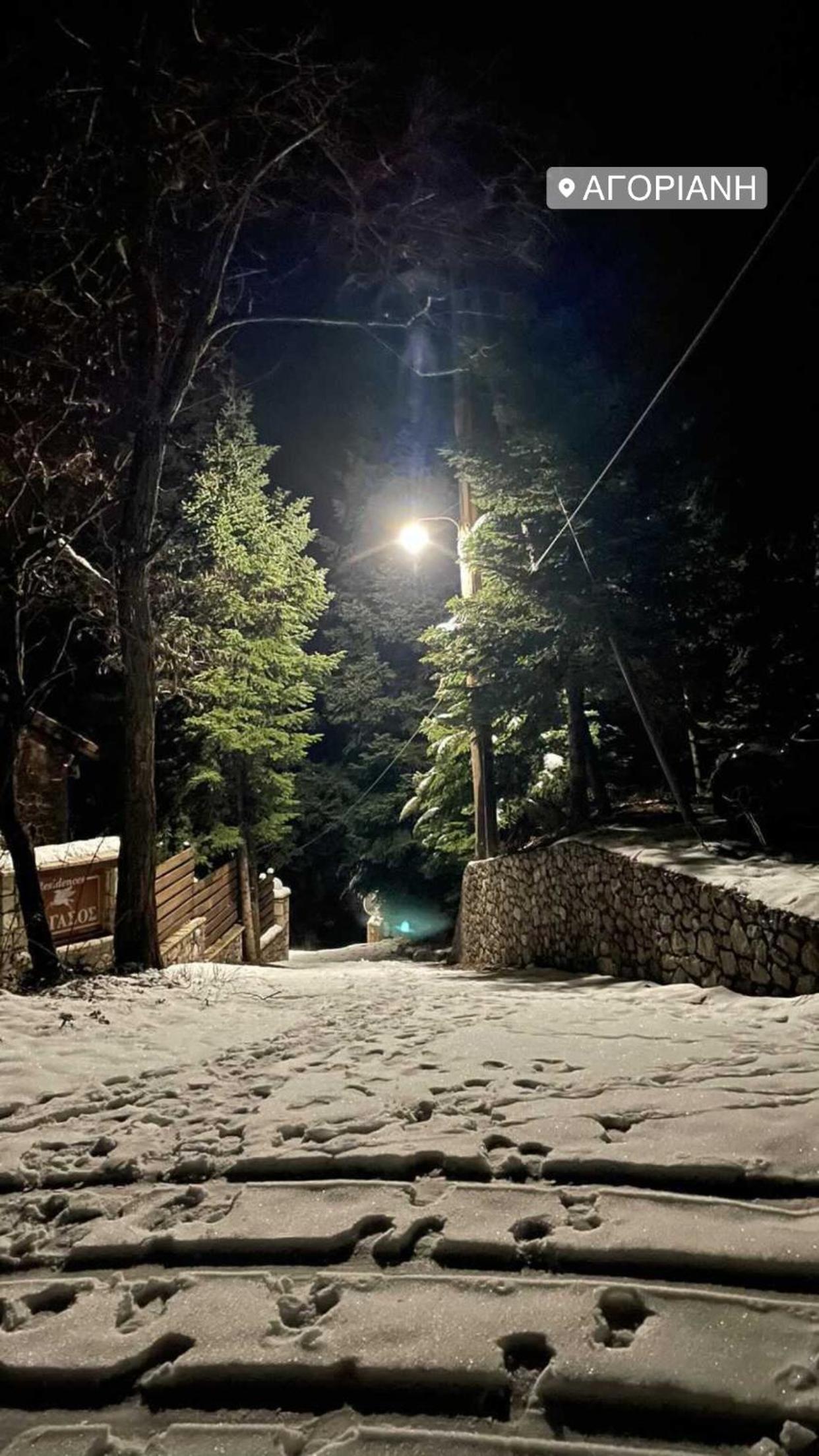 Asimina Guesthouse, Eptalofos Parnassos