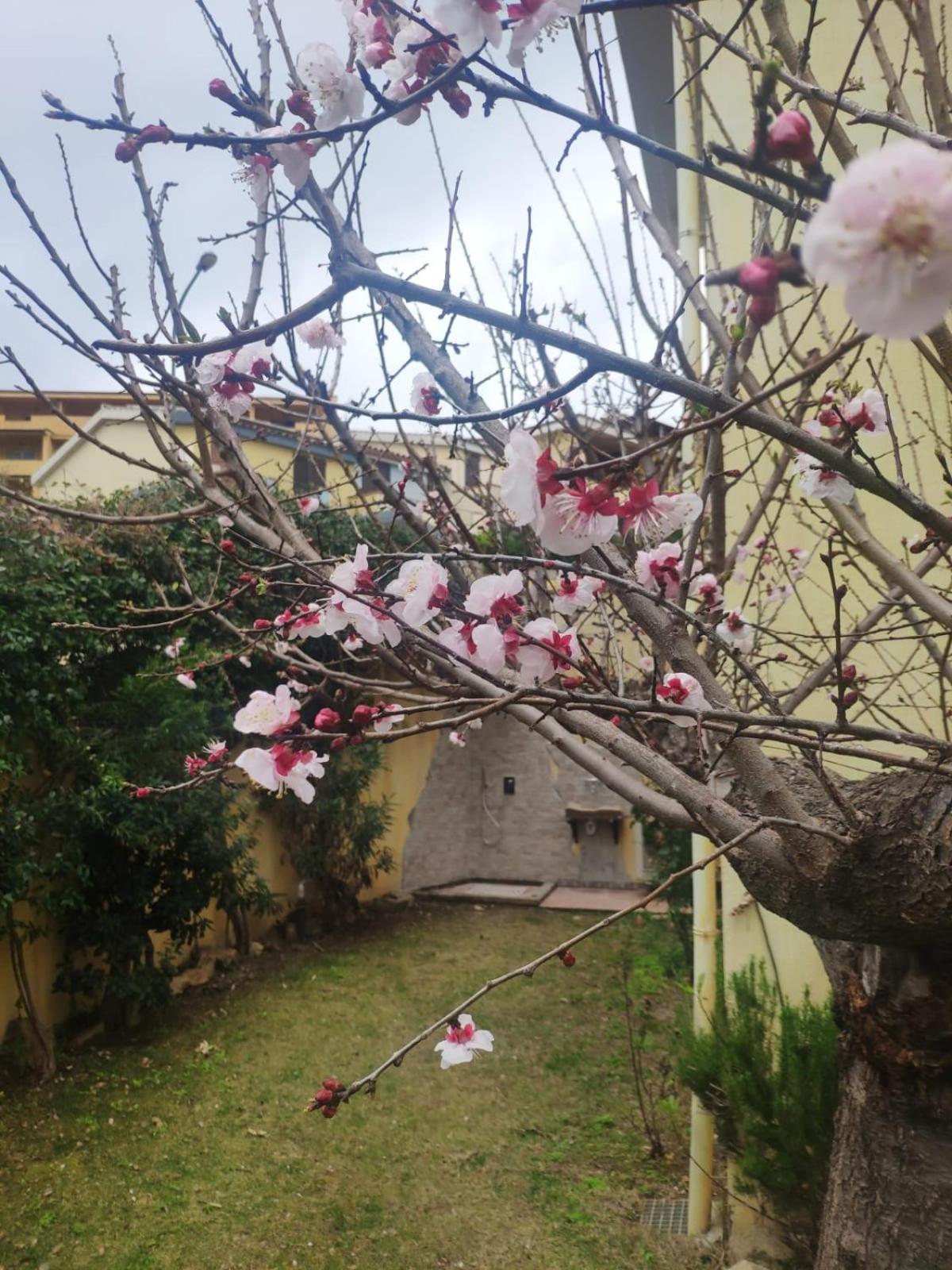 Photo 43