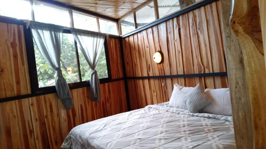 El Gato Rojas Surf Hostel