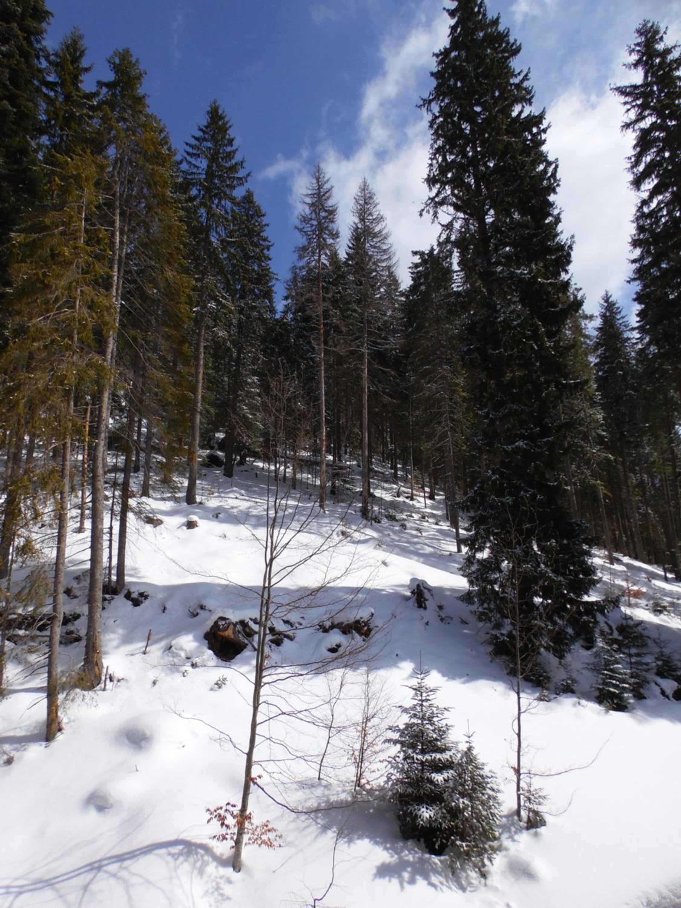 Photo 45