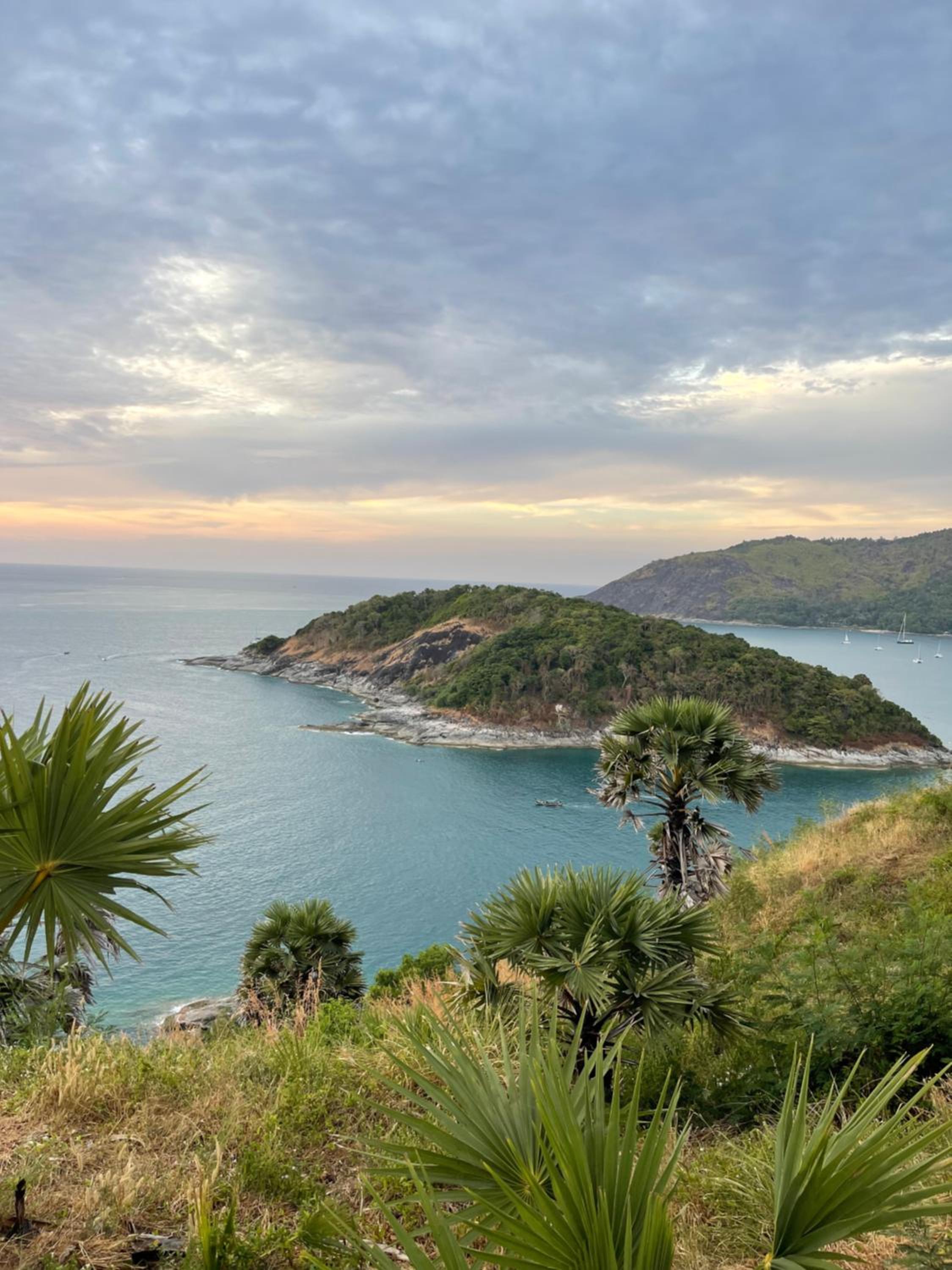 Tropical garden view 2