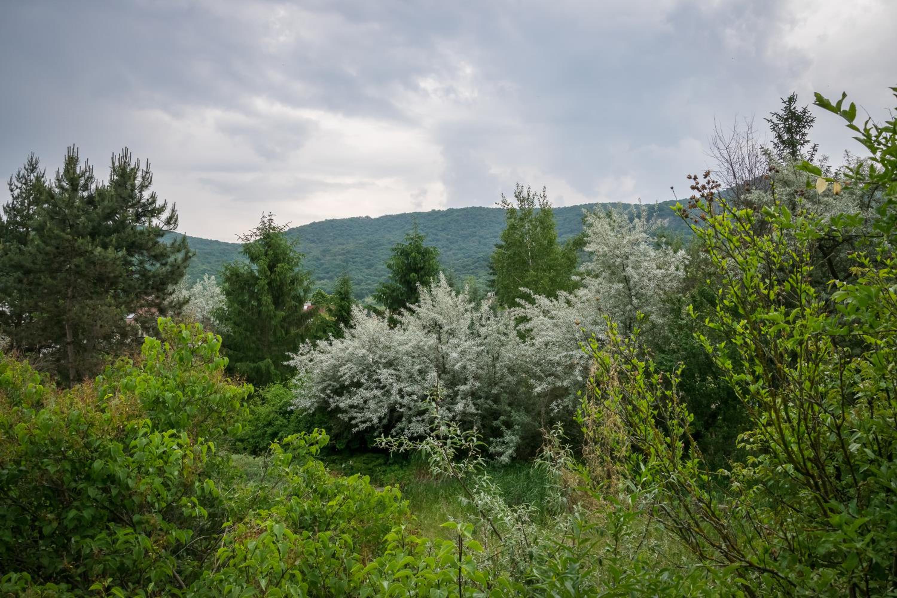 Búbánatvölgyi Apartman Esztergom